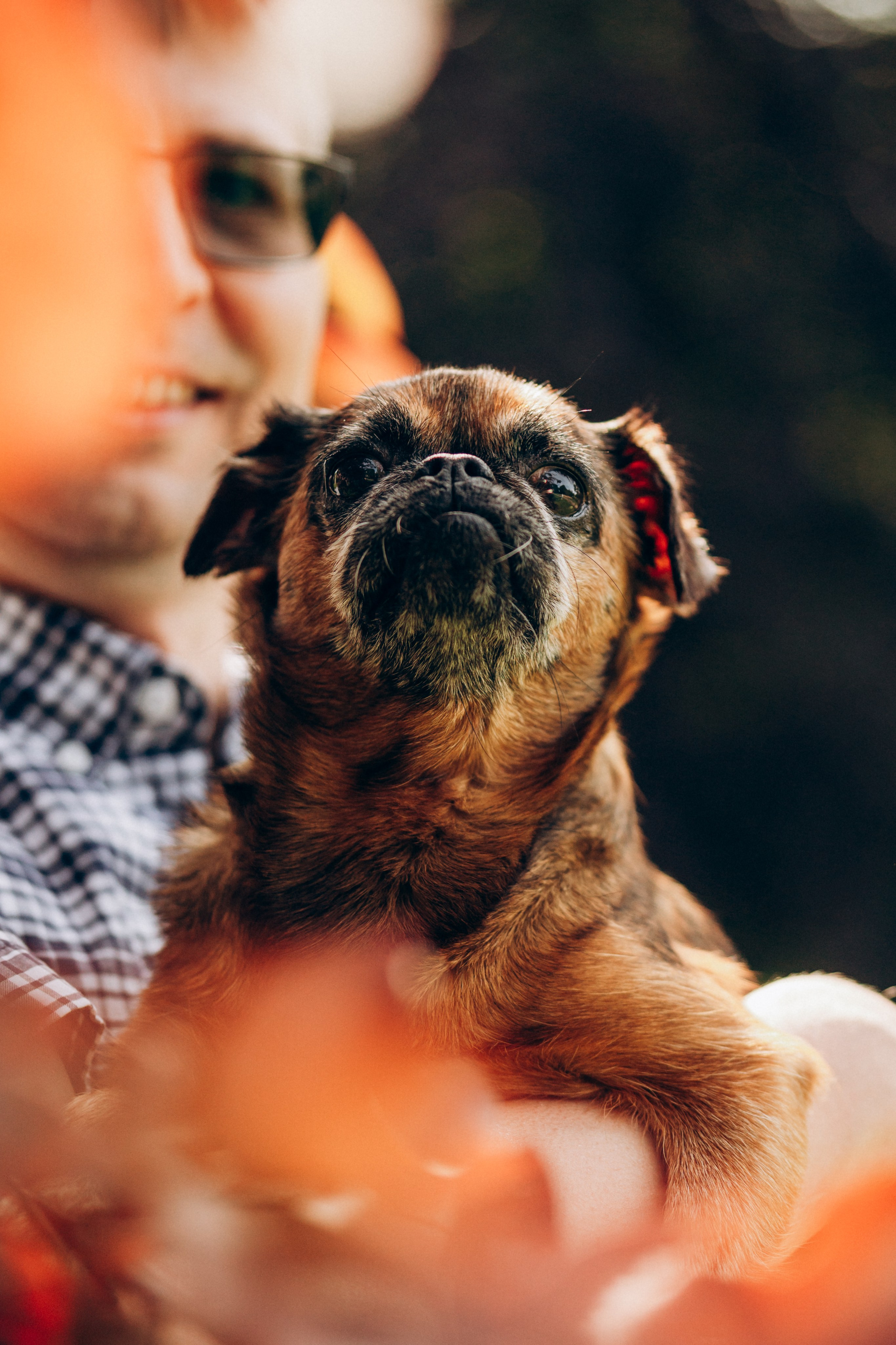 Natalia, Janik, Nusha & Betty. Фотограф-анималист в Таллинне, Катя Лайсаар