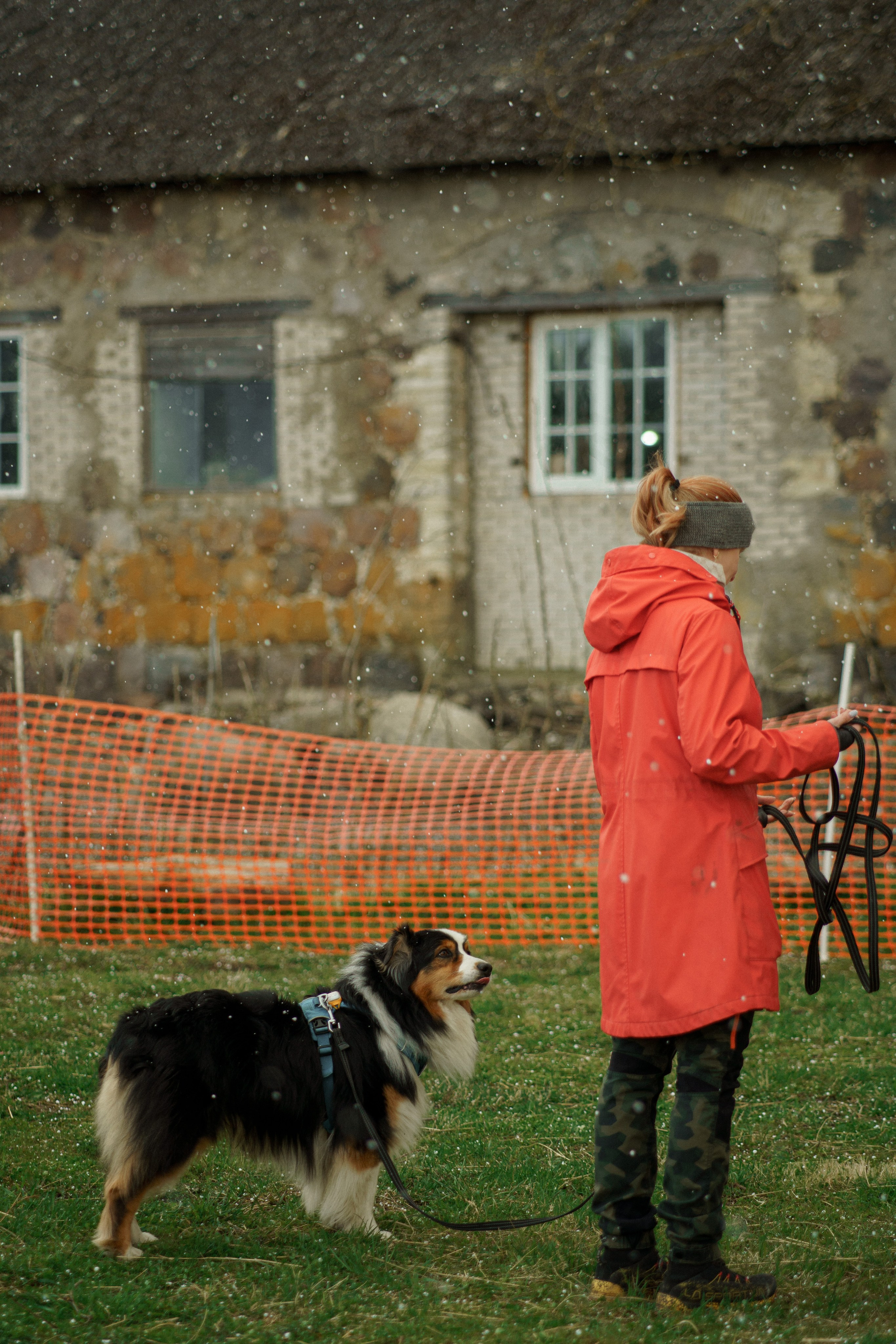 Herding Days, 26 apr. 2025. Kat Laisaar — Pet photographer in Tallinn