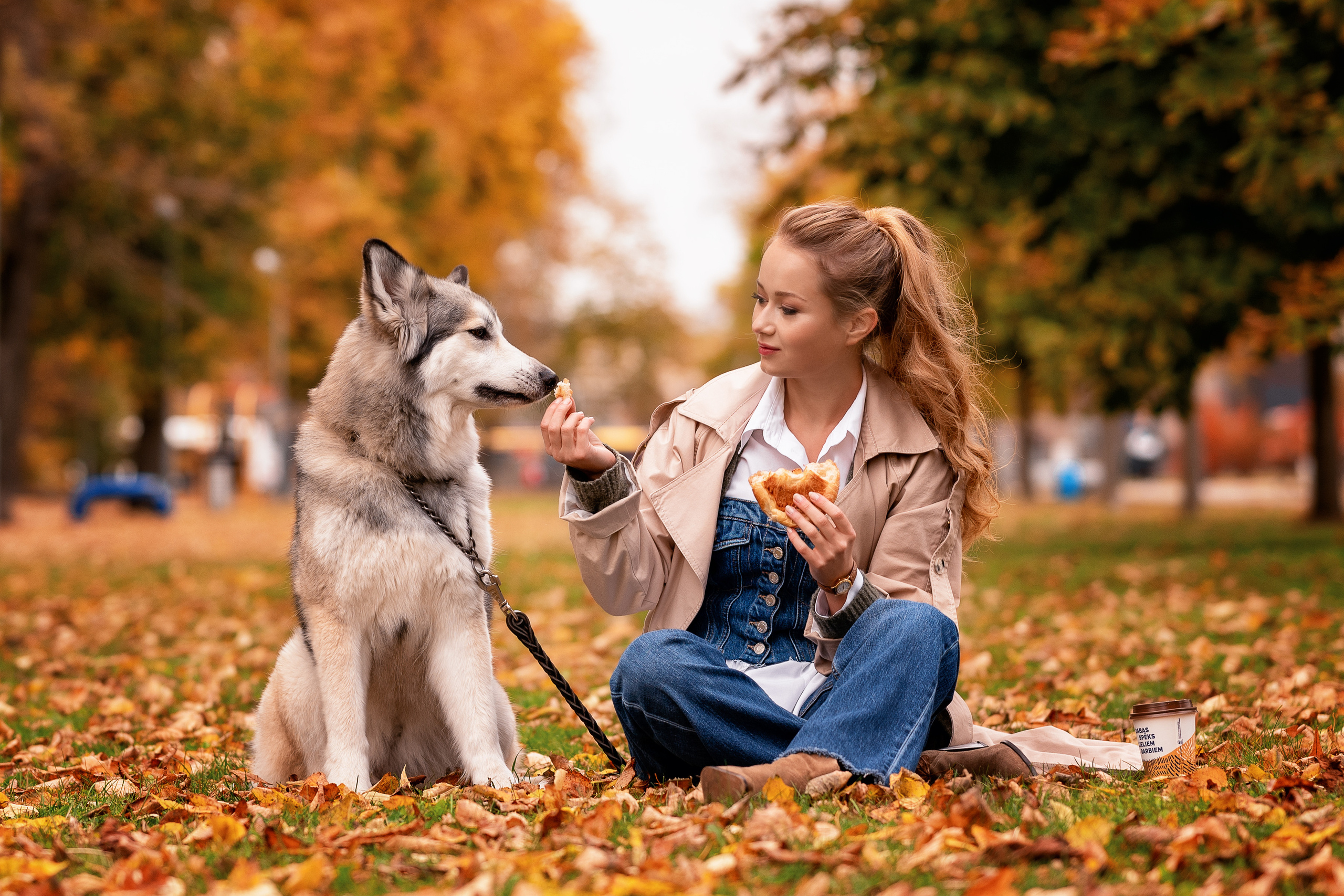 Autumn mood. Фотограф / Даугавпилс / Studija Natalie / Наталья Евменова