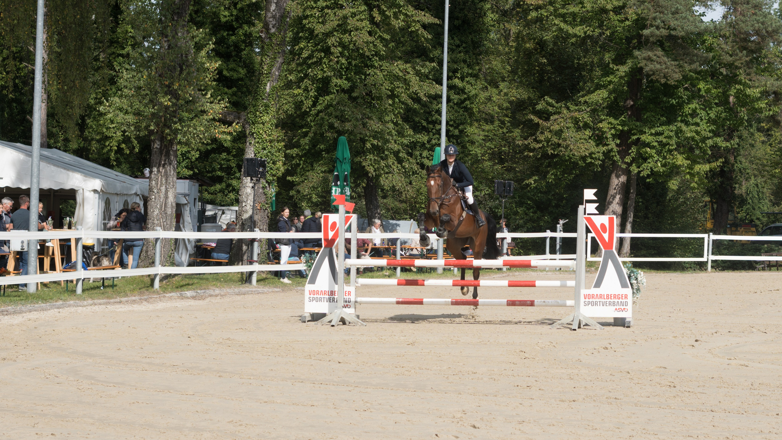 Equestrian Competition