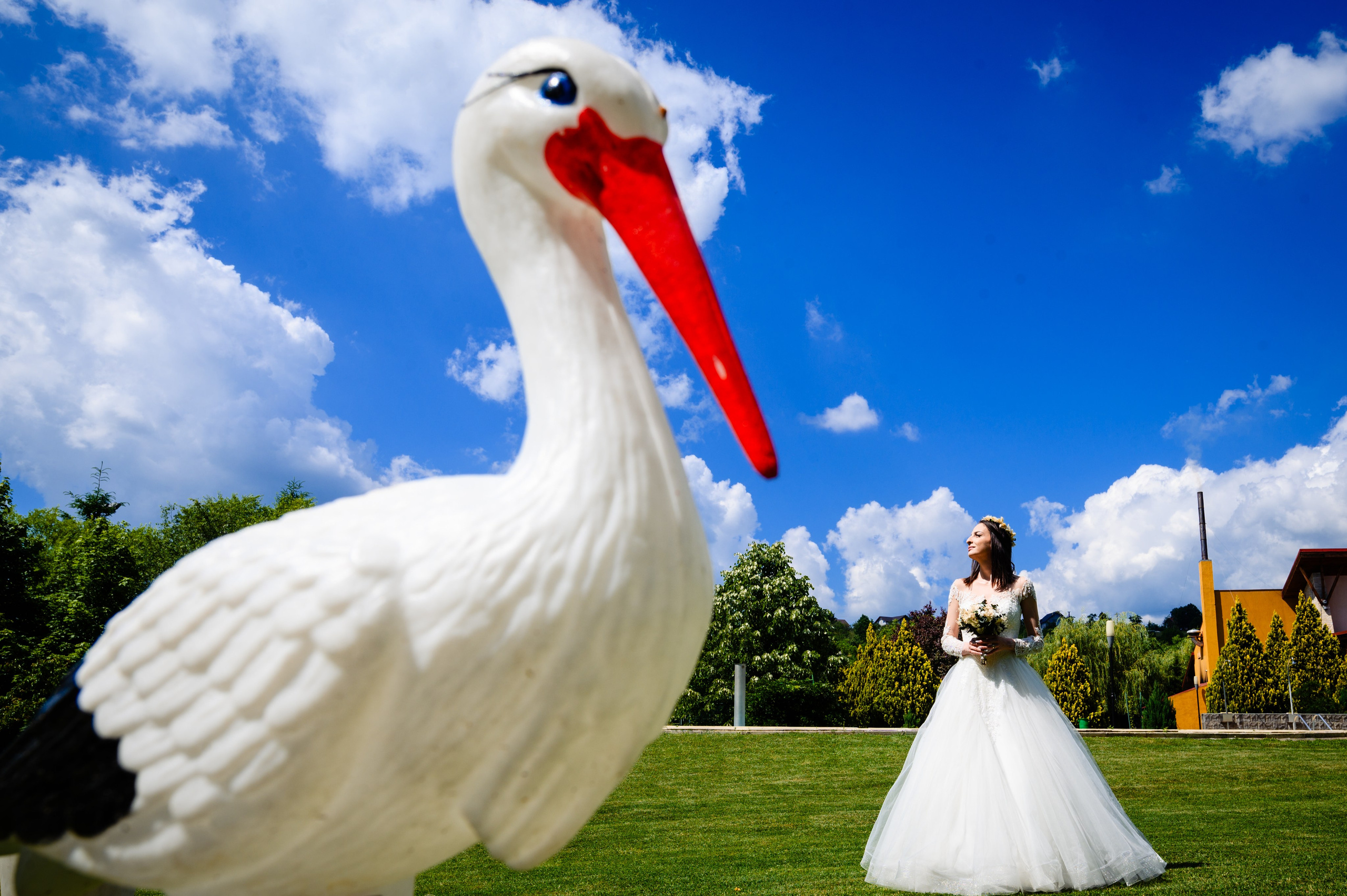 Galerie Foto. Paul Catunescu - Fotograf Nunta