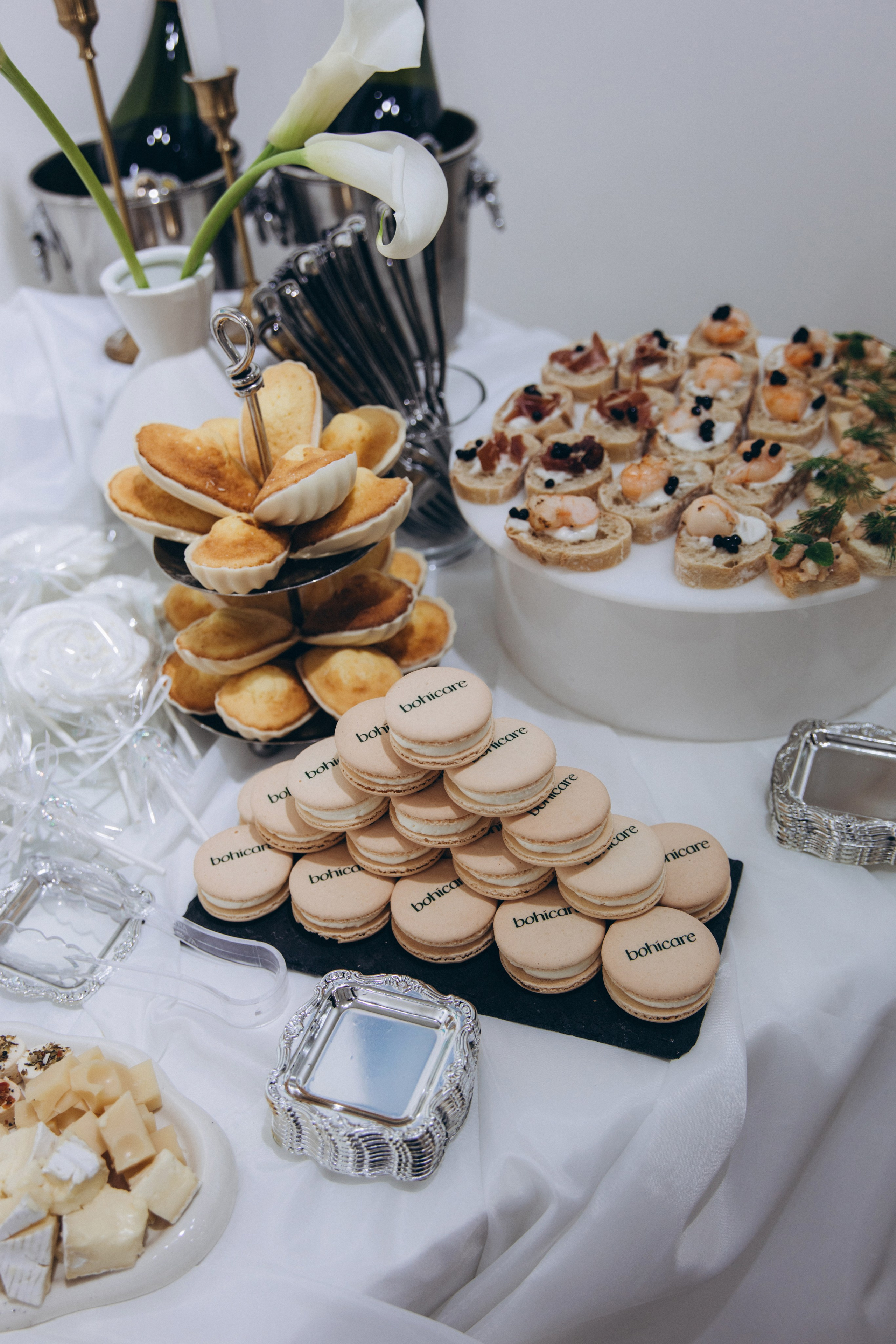 THE ART OF RENEWAL/ bohicare (2024). Студия декора «Нарния»