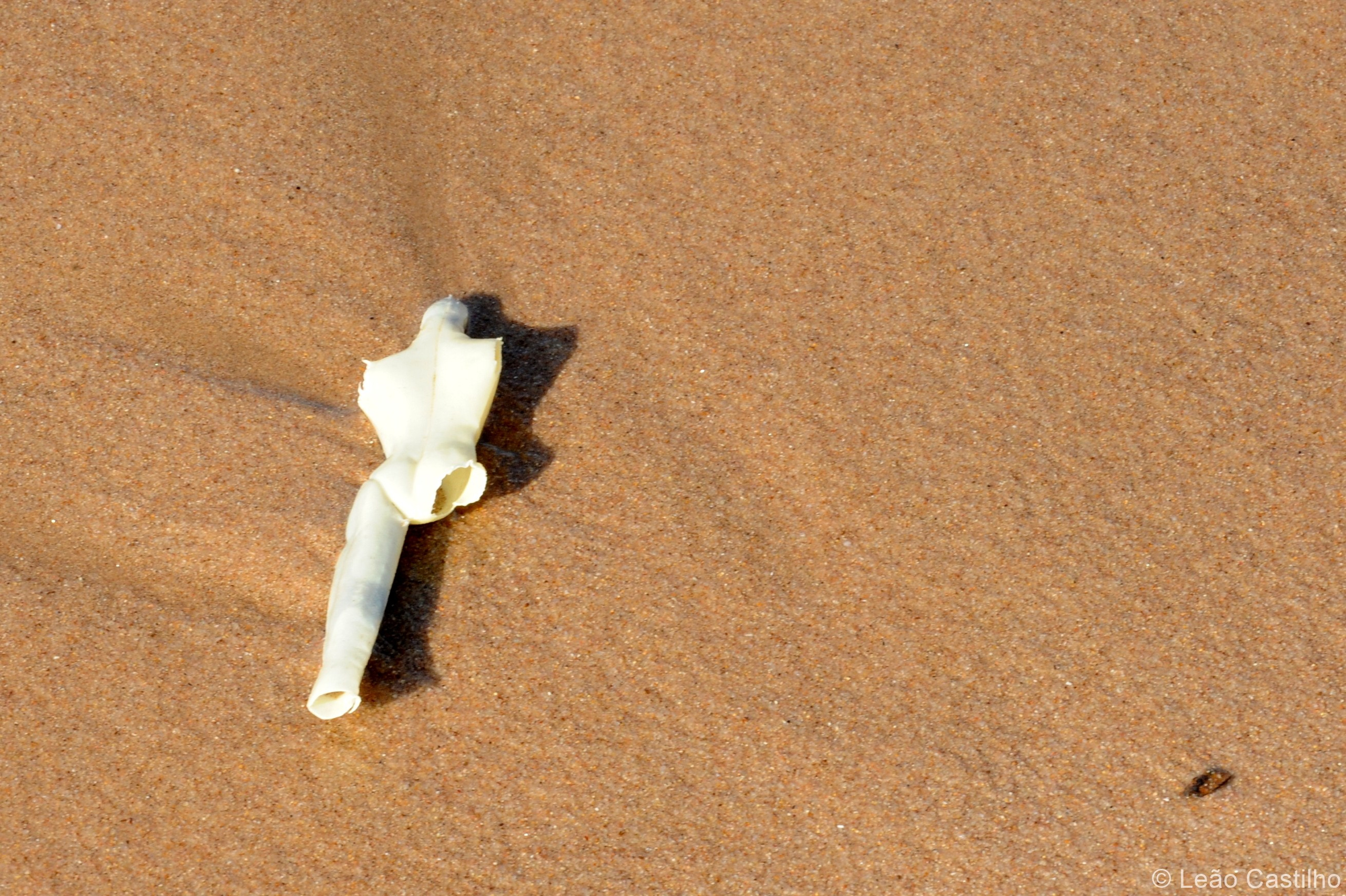 Photos from Angola. Simbahalu