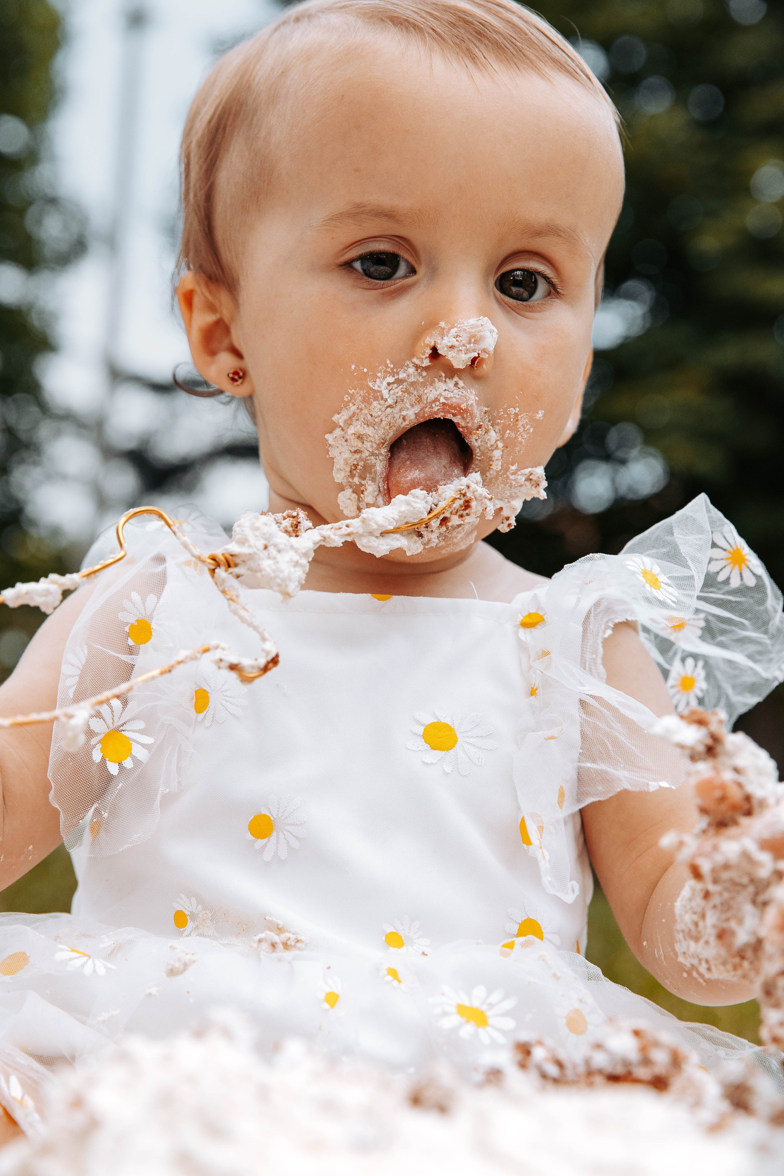 Smash Cake Photography. Family and Wedding Photographer