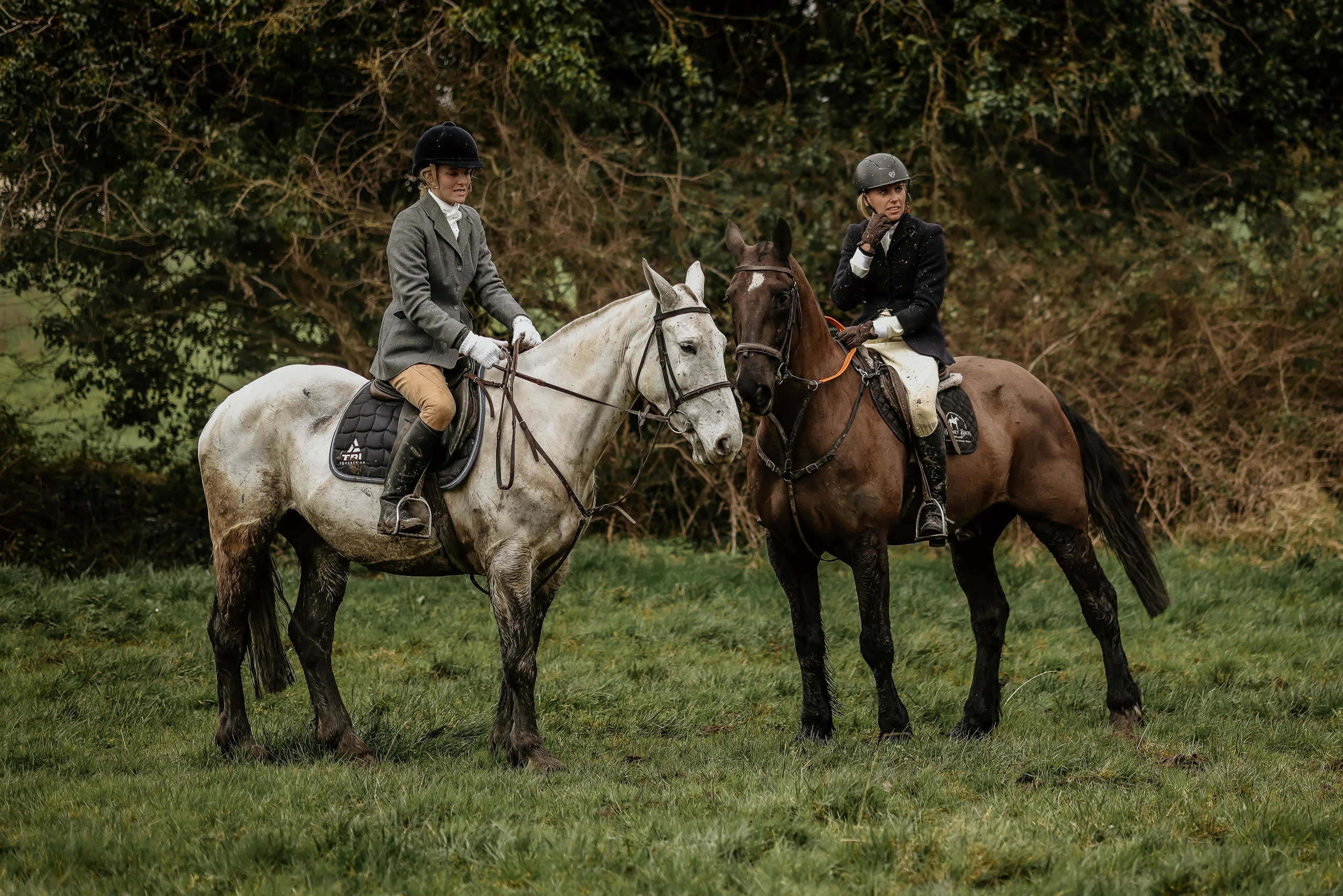 Hunting. Photographer Co Dublin, Balbriggan — Agata Maliseva