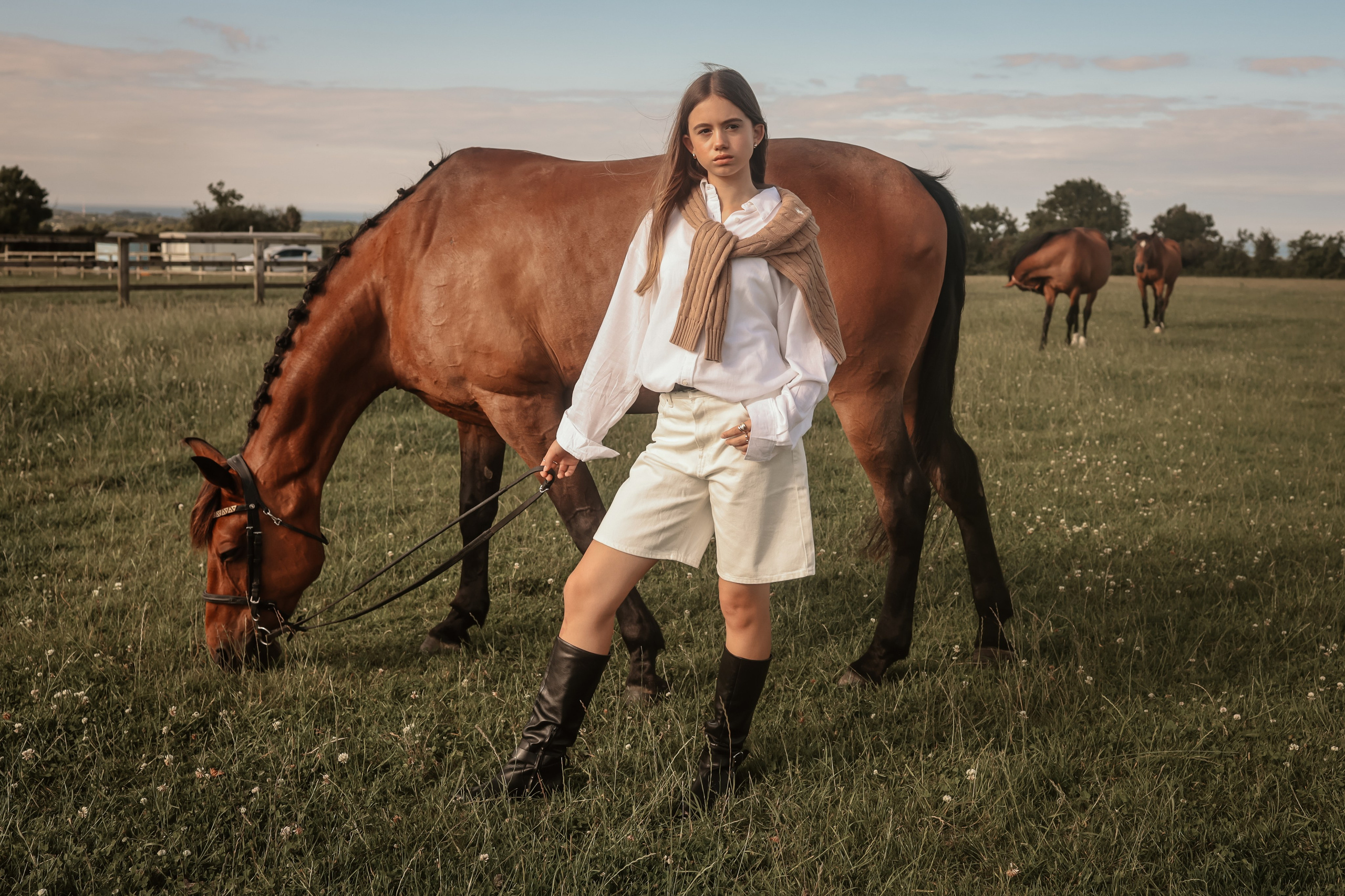 Among the Horses. Photographer Co Dublin, Balbriggan — Agata Maliseva