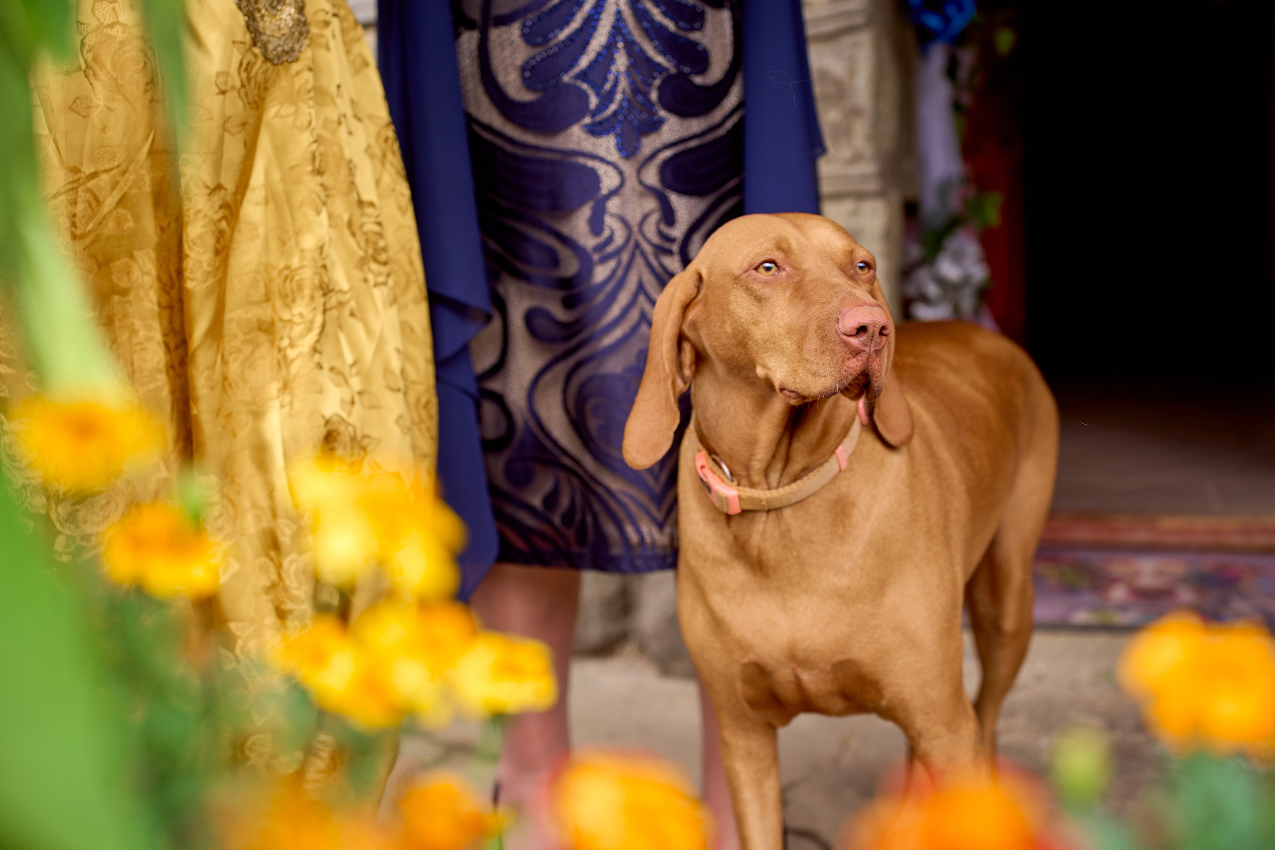 Ivana i Jefta. Marko Superio | Wedding & Portrait Photographer