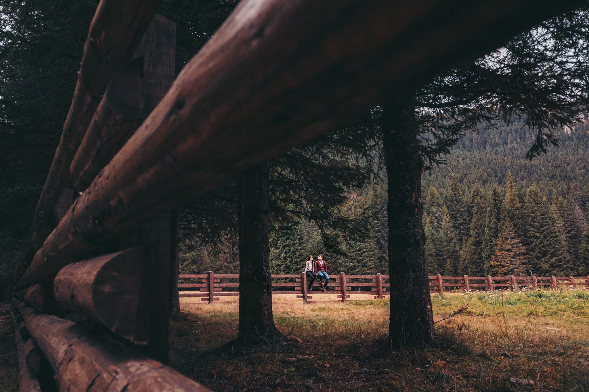 Logodna. Fotograf de nunta in Constanta|Marian Badescu