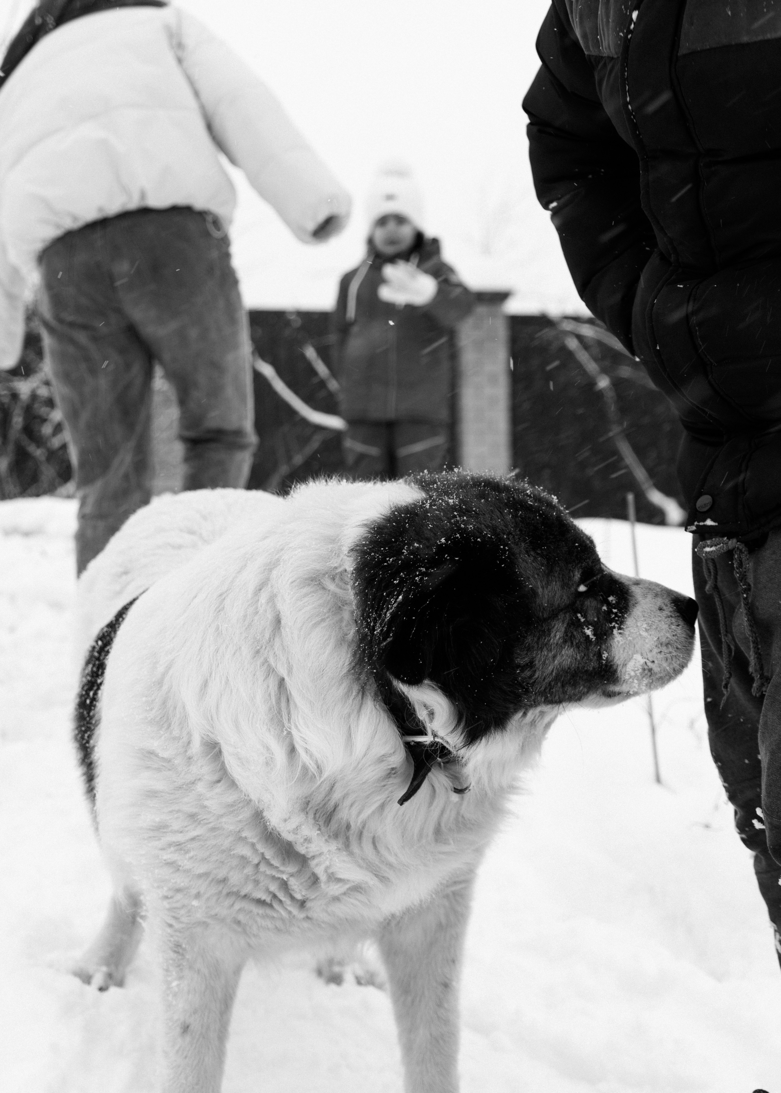 Фотопрогулка. YAADELINA Фотограф Аделина Багдасарян