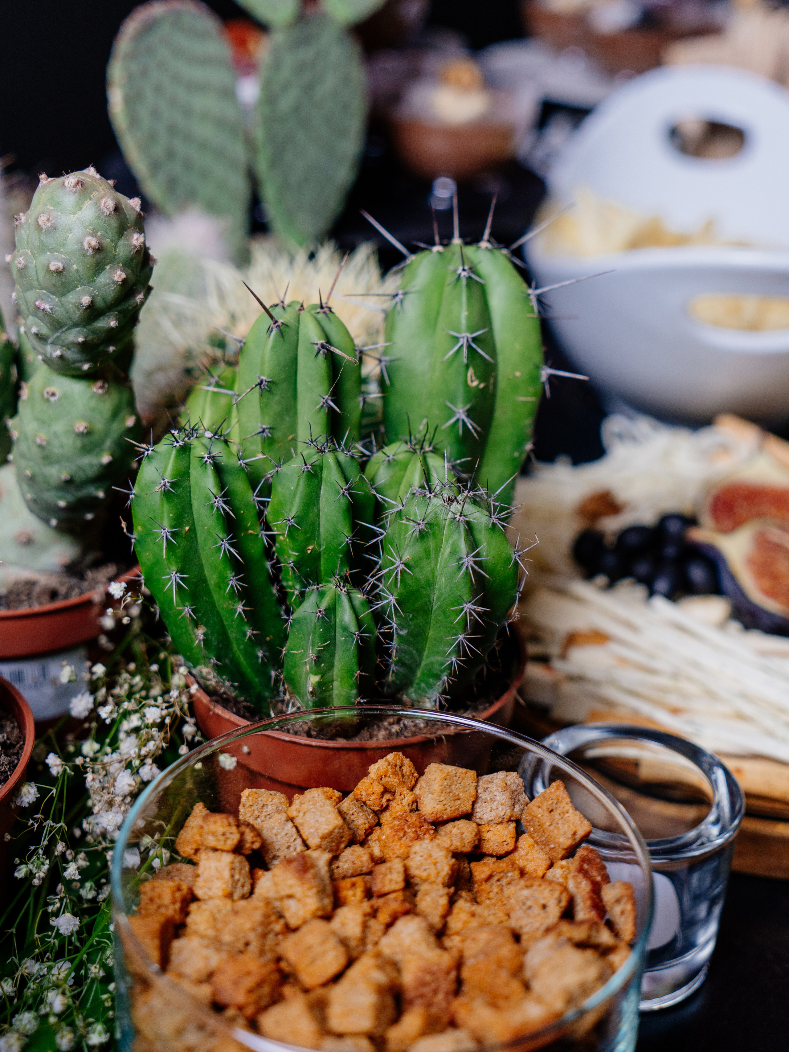 День рождения Сережи. YAADELINA Фотограф Аделина Багдасарян