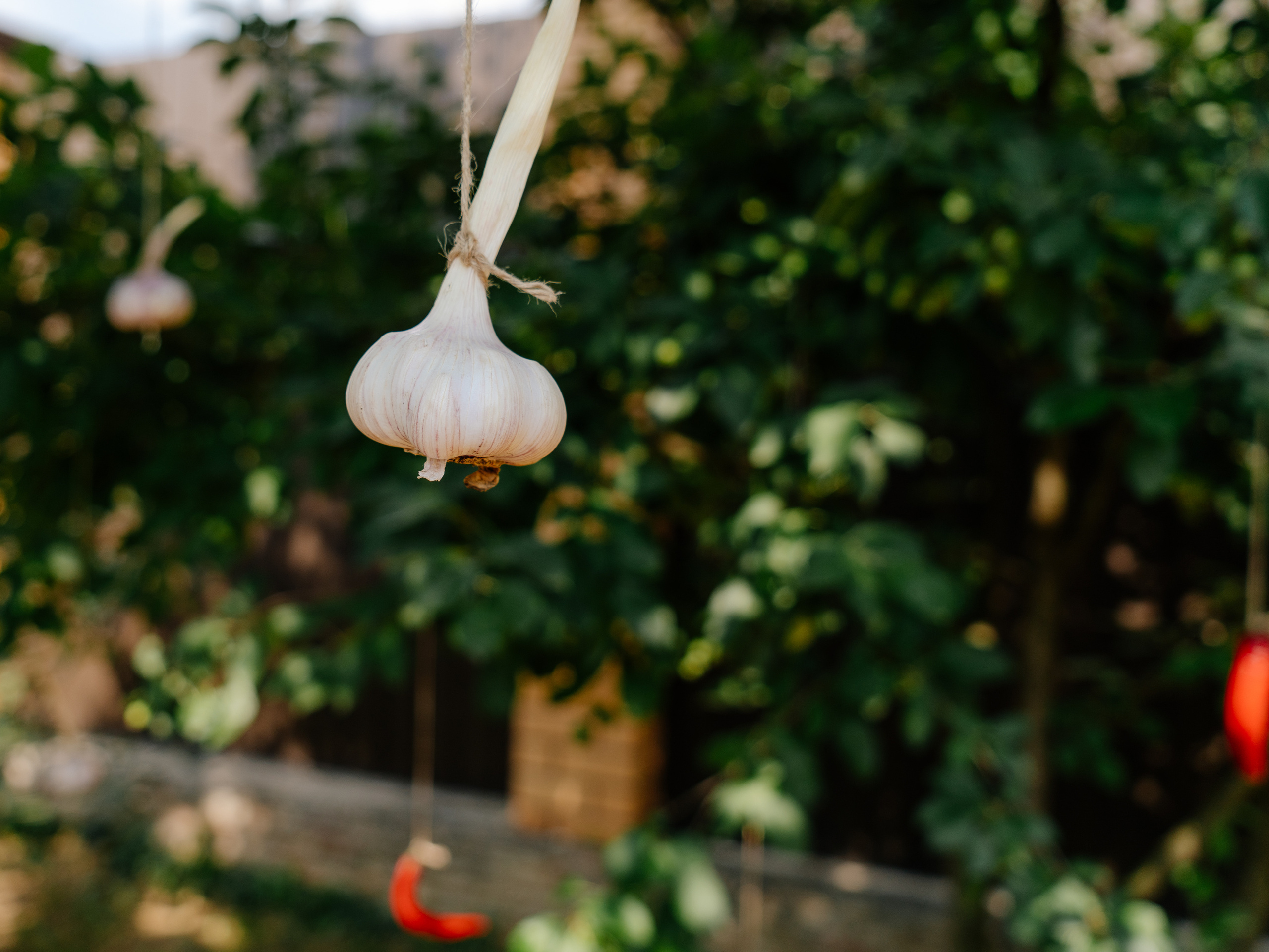 Праздник первого зубика для Софии. YAADELINA Фотограф Аделина Багдасарян