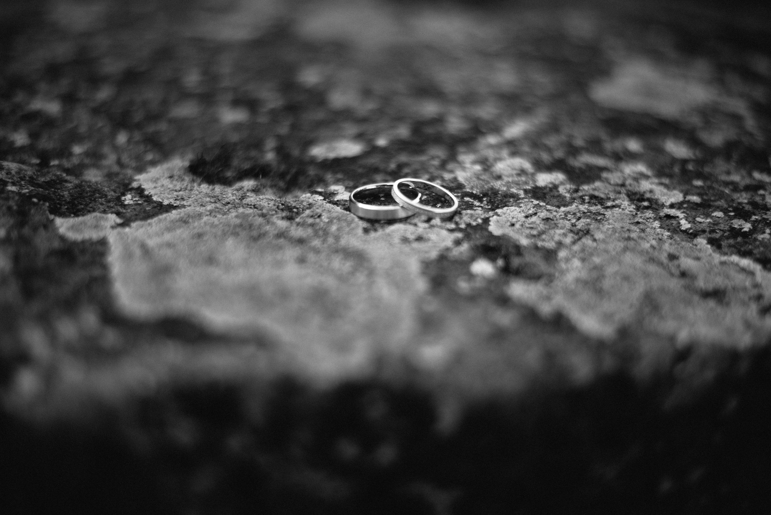 Jelena & Ivan. Vlada toskic wedding and event photographer