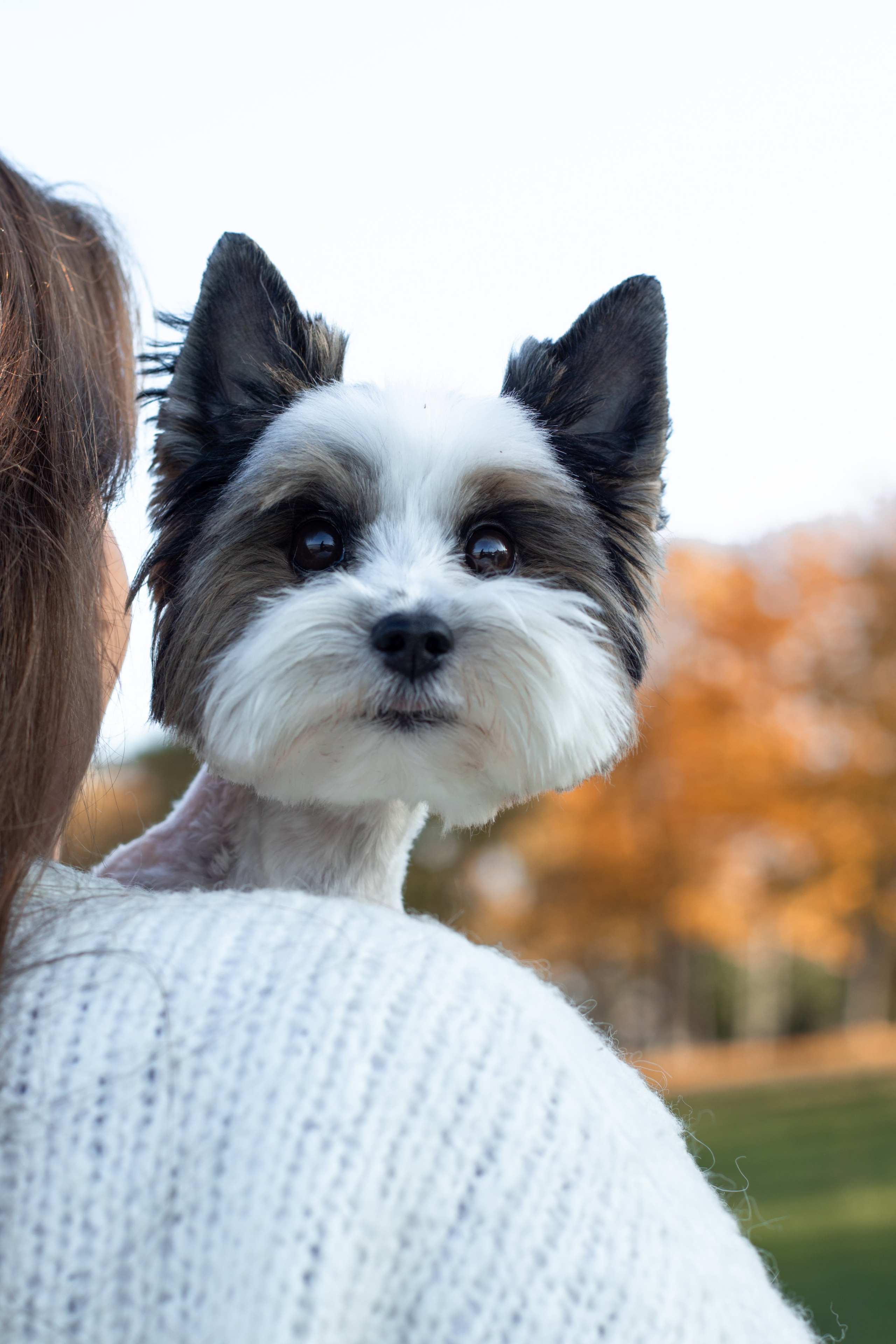 Полина и Луи. Фотограф Лейпциг