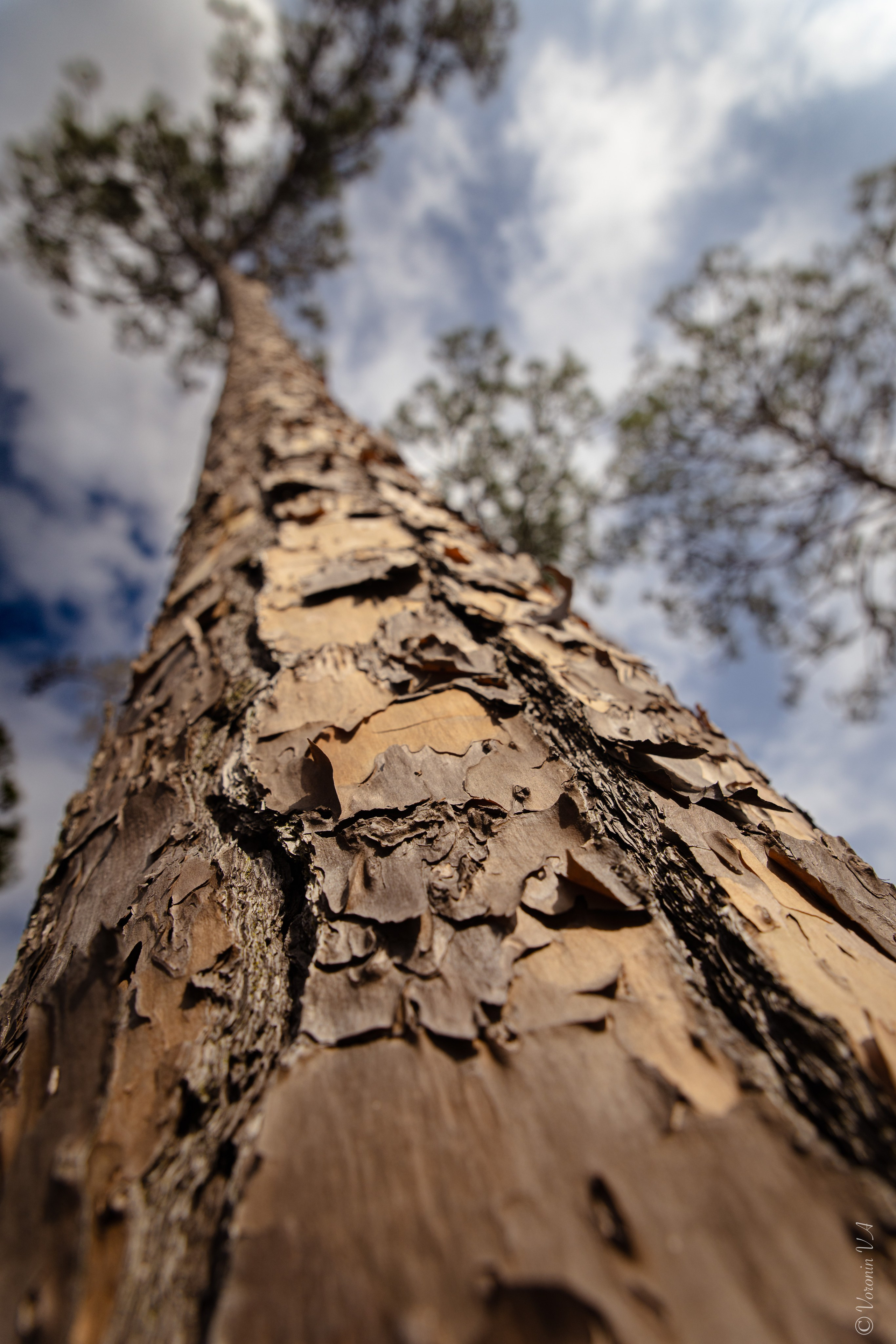Landscapes of st. Augustine. Photographer St. Augustine