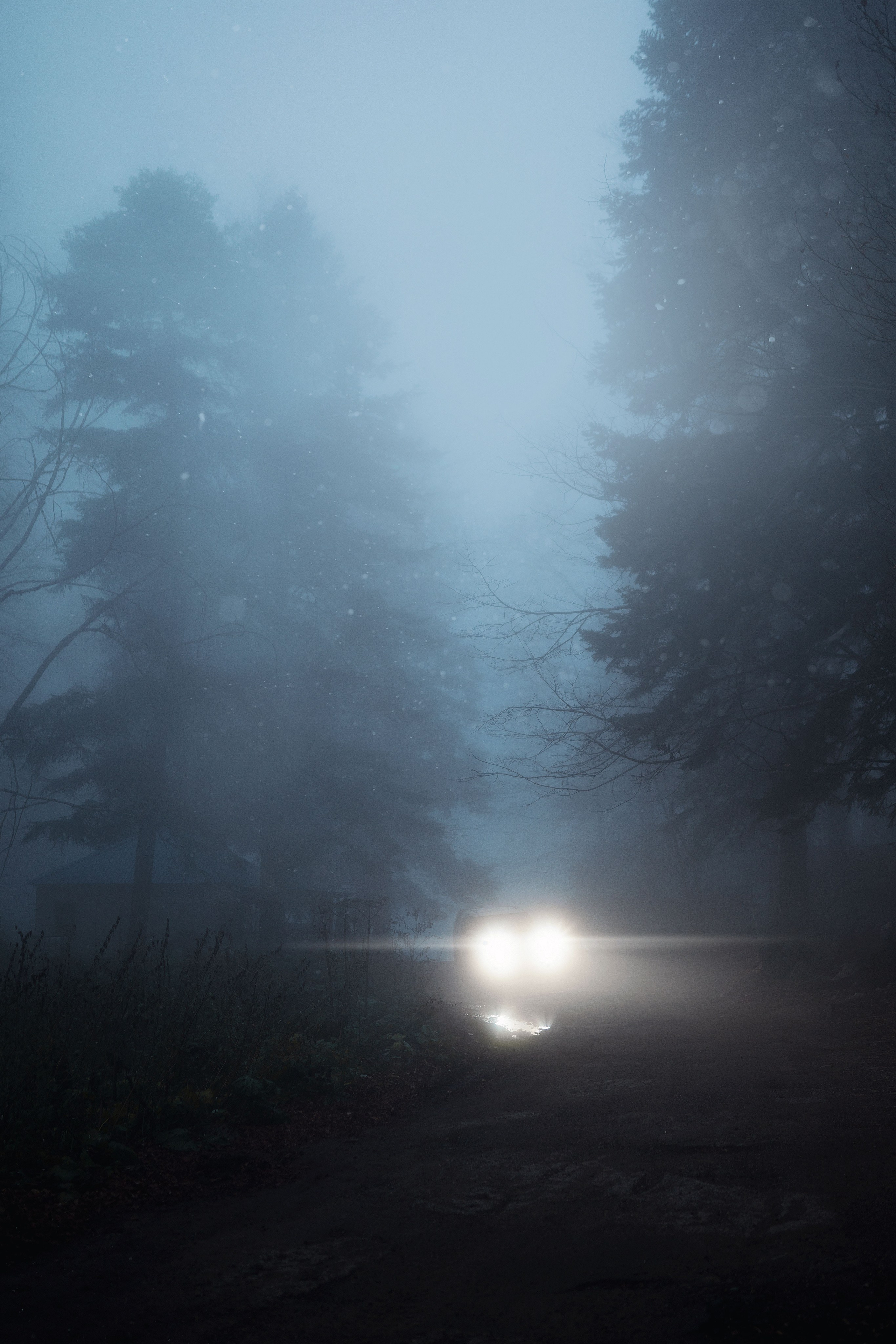 Bleak. Travel story Lago-Naki. Sasha Veideman Photo