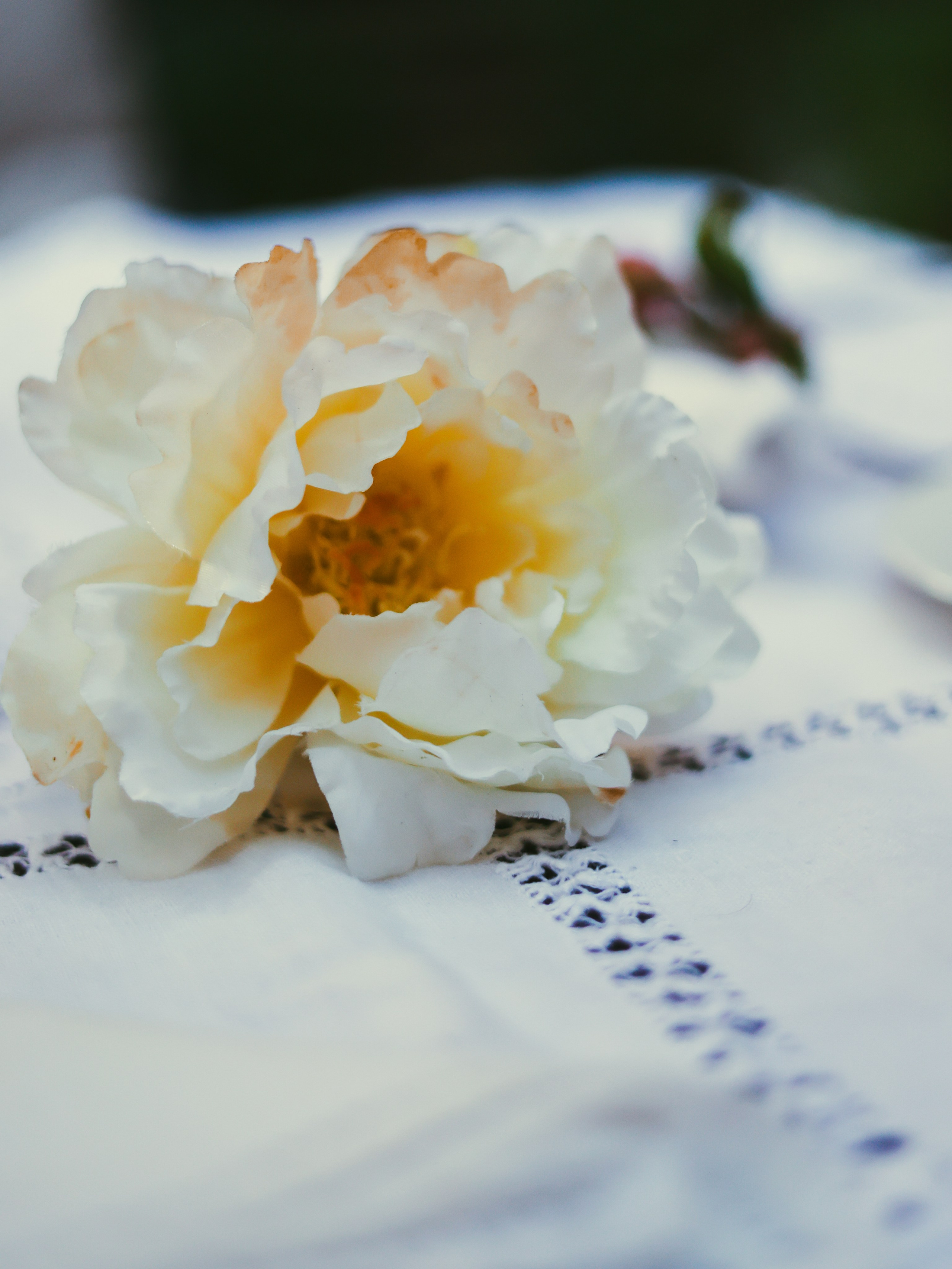 Family time. Yana Bobrova | Artistic Photography