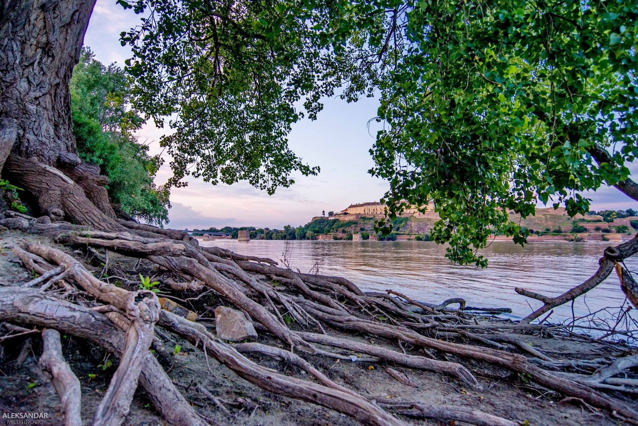 Novi Sad, tri prazna mesta pa svi ostali gradovi.❤️. Aleksandar Milutinović fotograf iz Srbije, Novog Sada