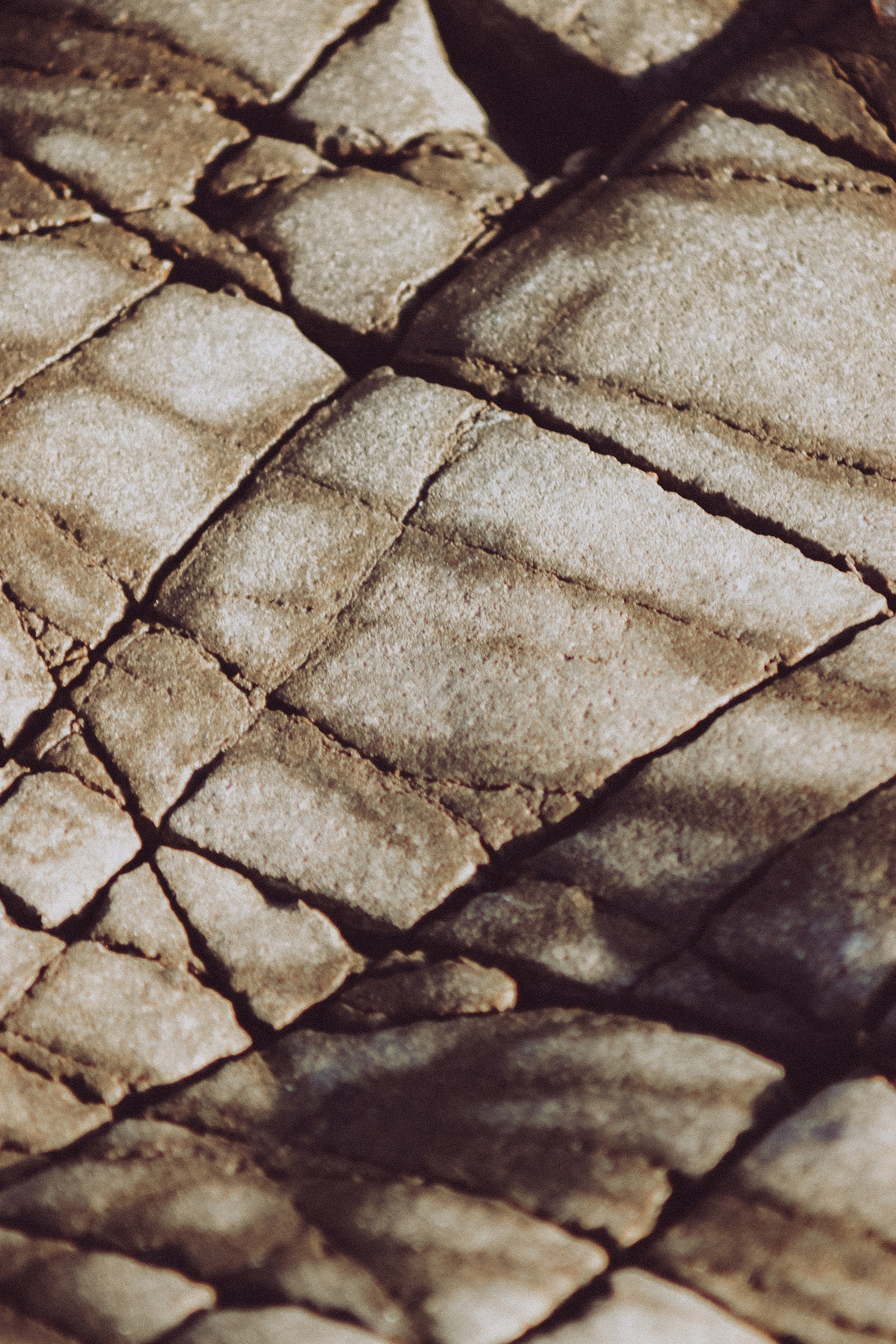 La Coudoulière, Saint Mandrier. Photographe à la Seyne sur Mer, Var