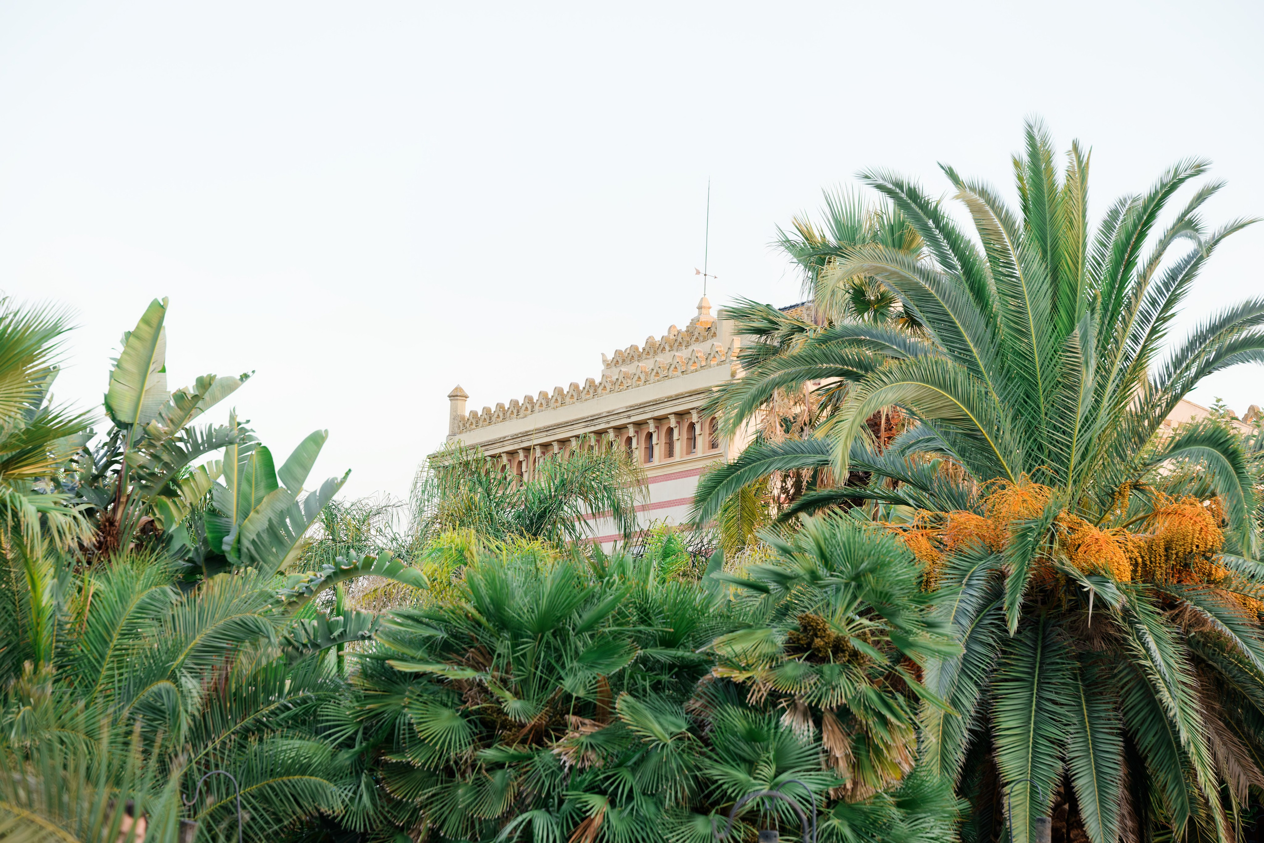 Indian wedding at Gran Villa Rosa, Barcelona