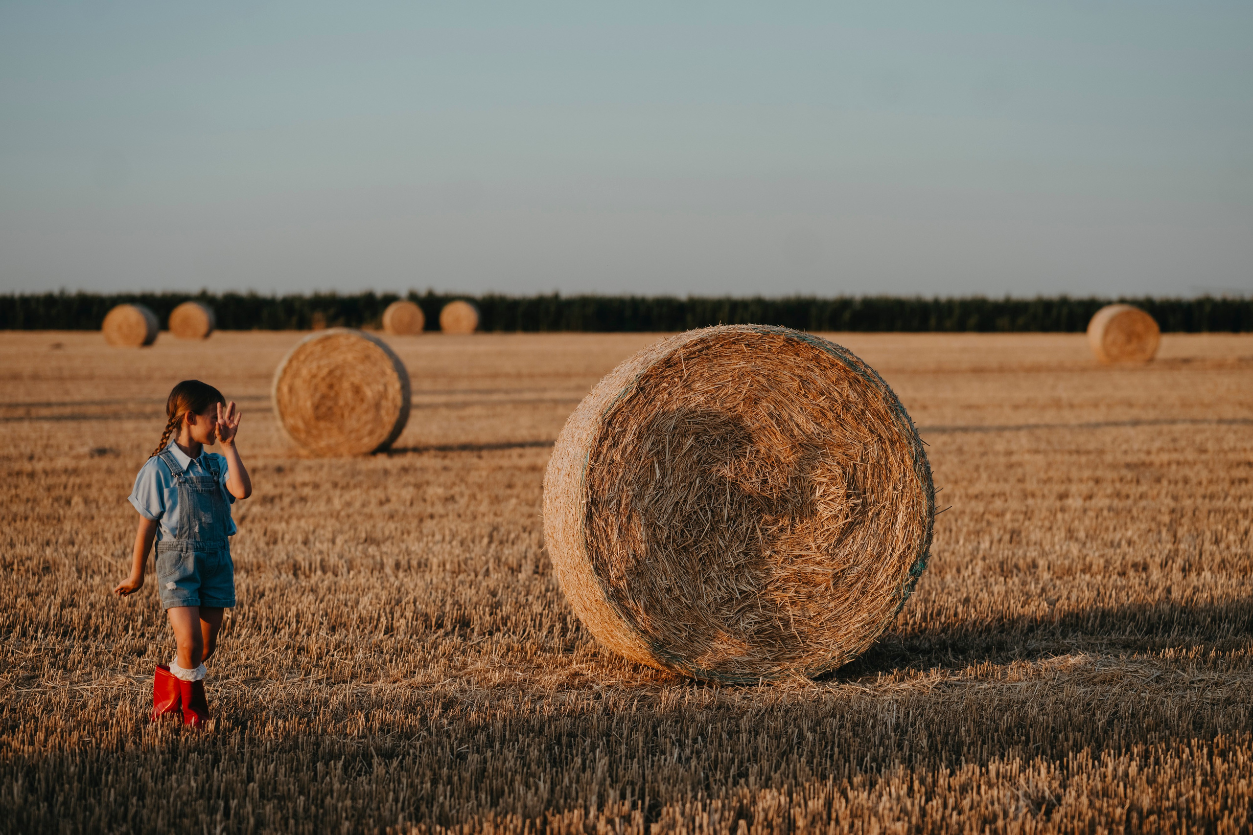 Letnje fotografisanje u polju suncokreta i sena. Deciji i porodicni fotograf u Beogradu Oksana Skendzic
