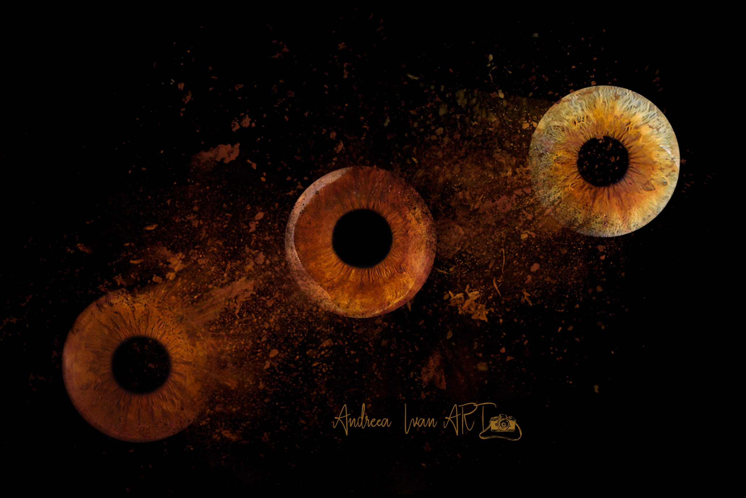 Andreea Ivan art-Fotograf Constanta, Fotograf profesionist Constanta, Fotograf de nunta, botez, sedinte foto cu tematica, portret. Andreea Ivan art-Fotograf Constanta, Fotograf profesionist Constanta, Fotograf de nunta Constanta, botez, sedinte foto cu tematica, portret