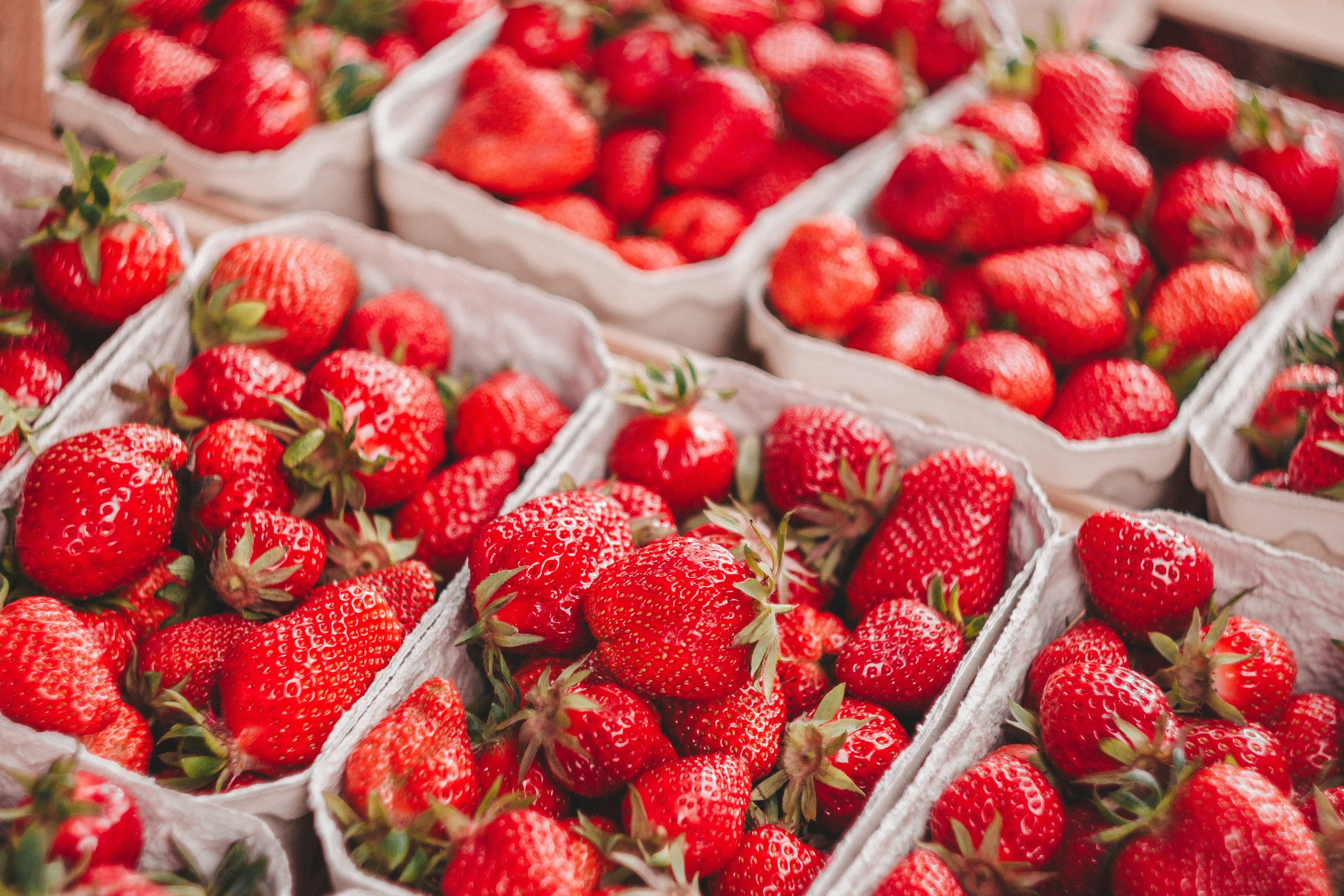 Oberkircher Erdbeerfest. Maria Chistyakovа — Fotografin in Karlsruhe, Baden-Baden und Umgebung