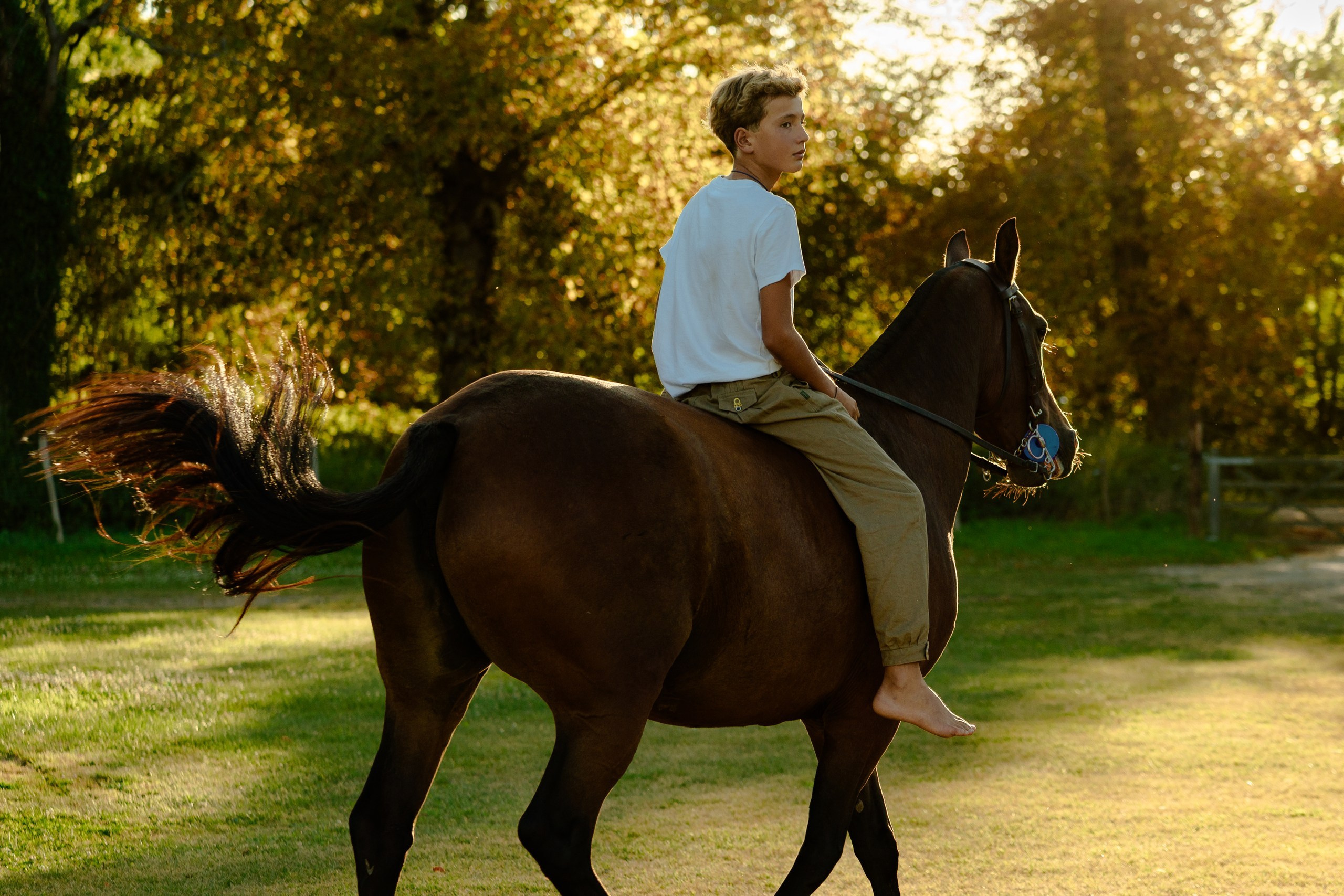 Photo shoot with horses