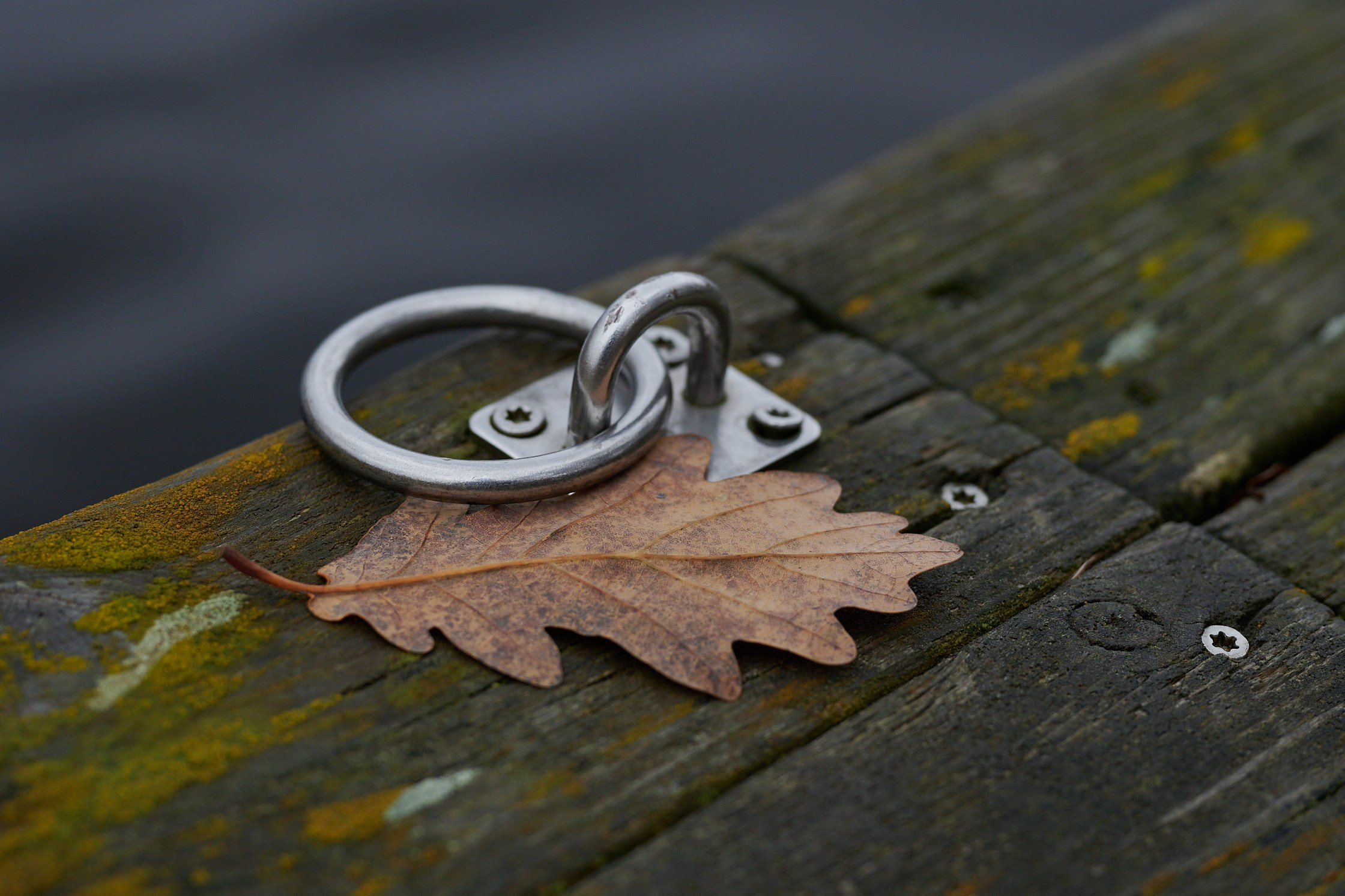 Close-Up. Yuri Popkov | Photographer