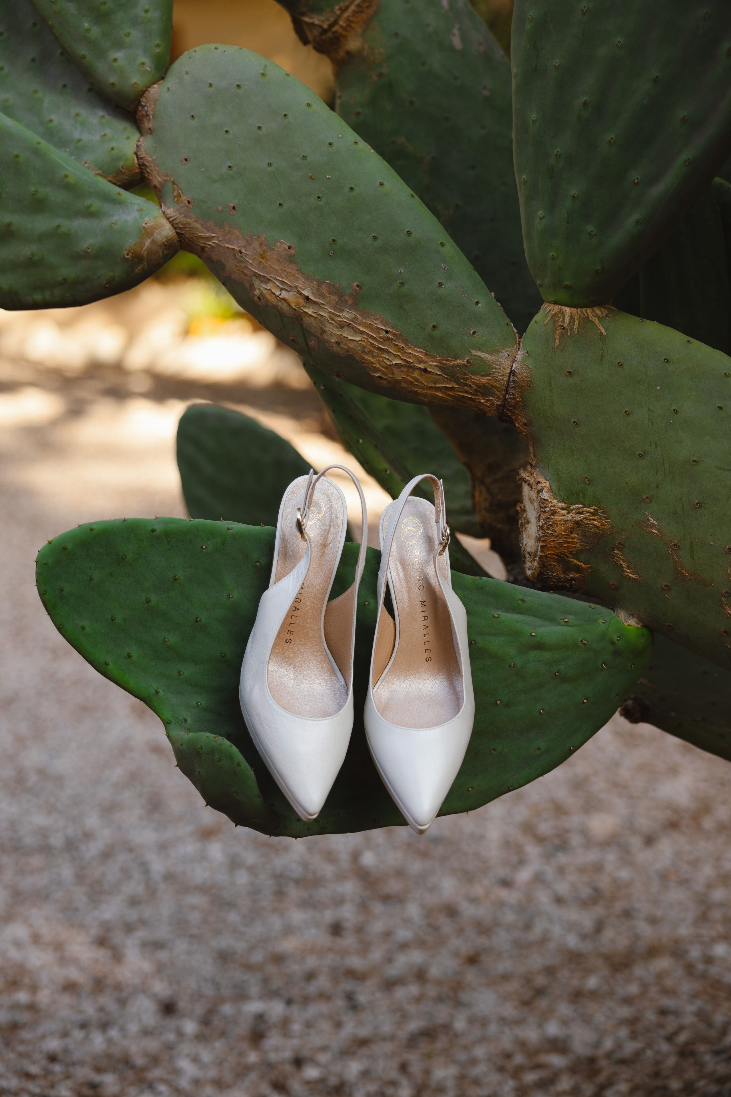 Mª ÁNGELES & ALEJANDRO. Fotógrafo y Videografo de bodas y eventos