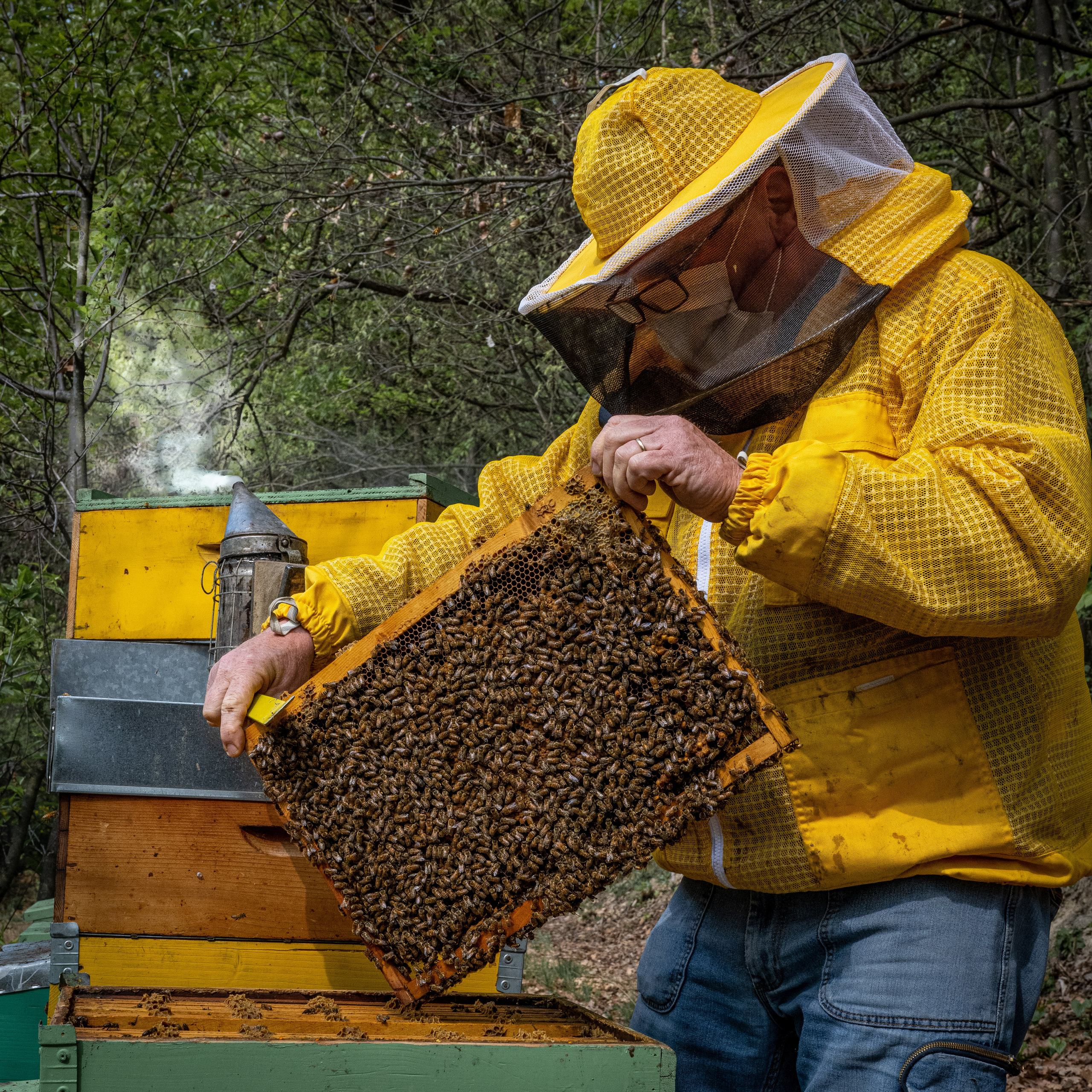 Apicultura Bergadano. “Gianmaria Coscia fotografo per passione”