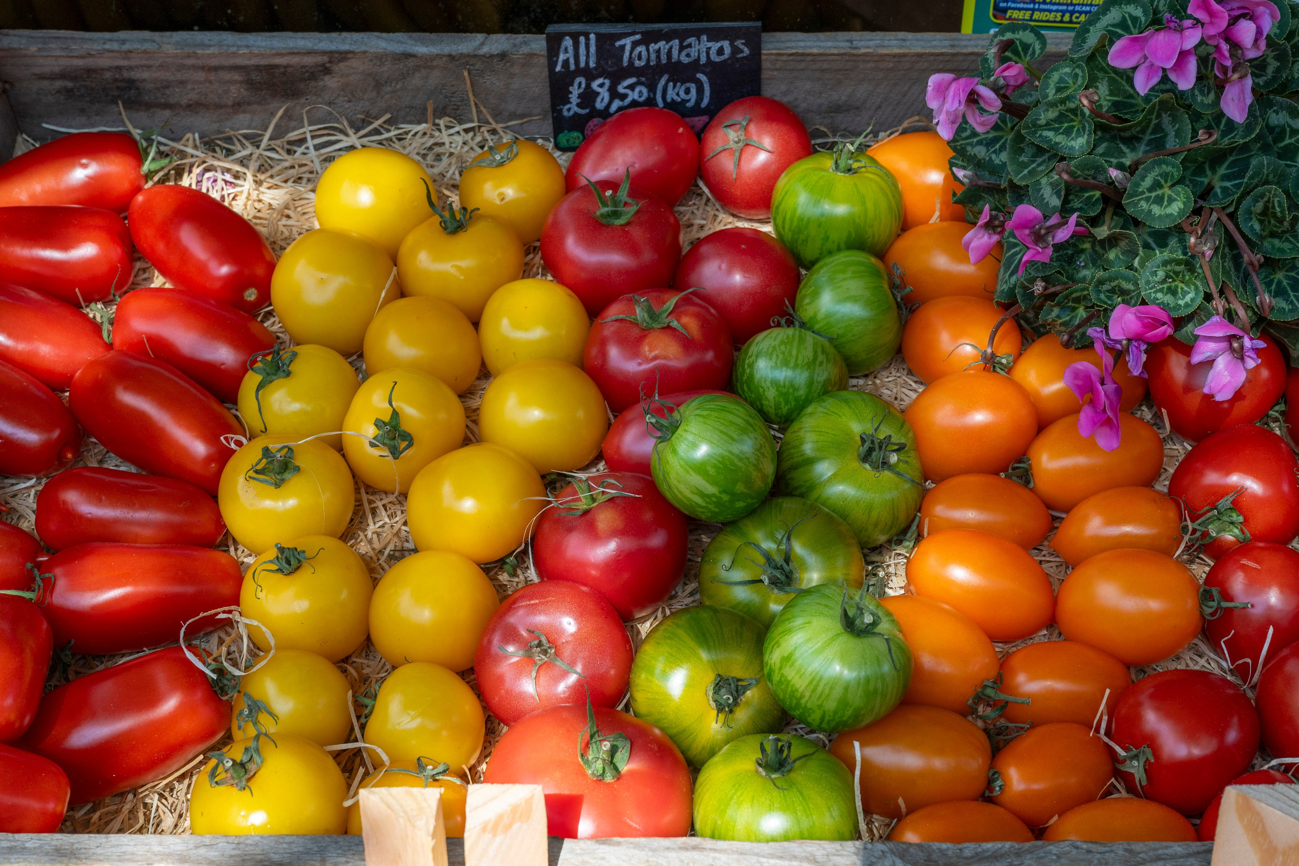 Frutta & Verdura. “Gianmaria Coscia fotografo per passione”