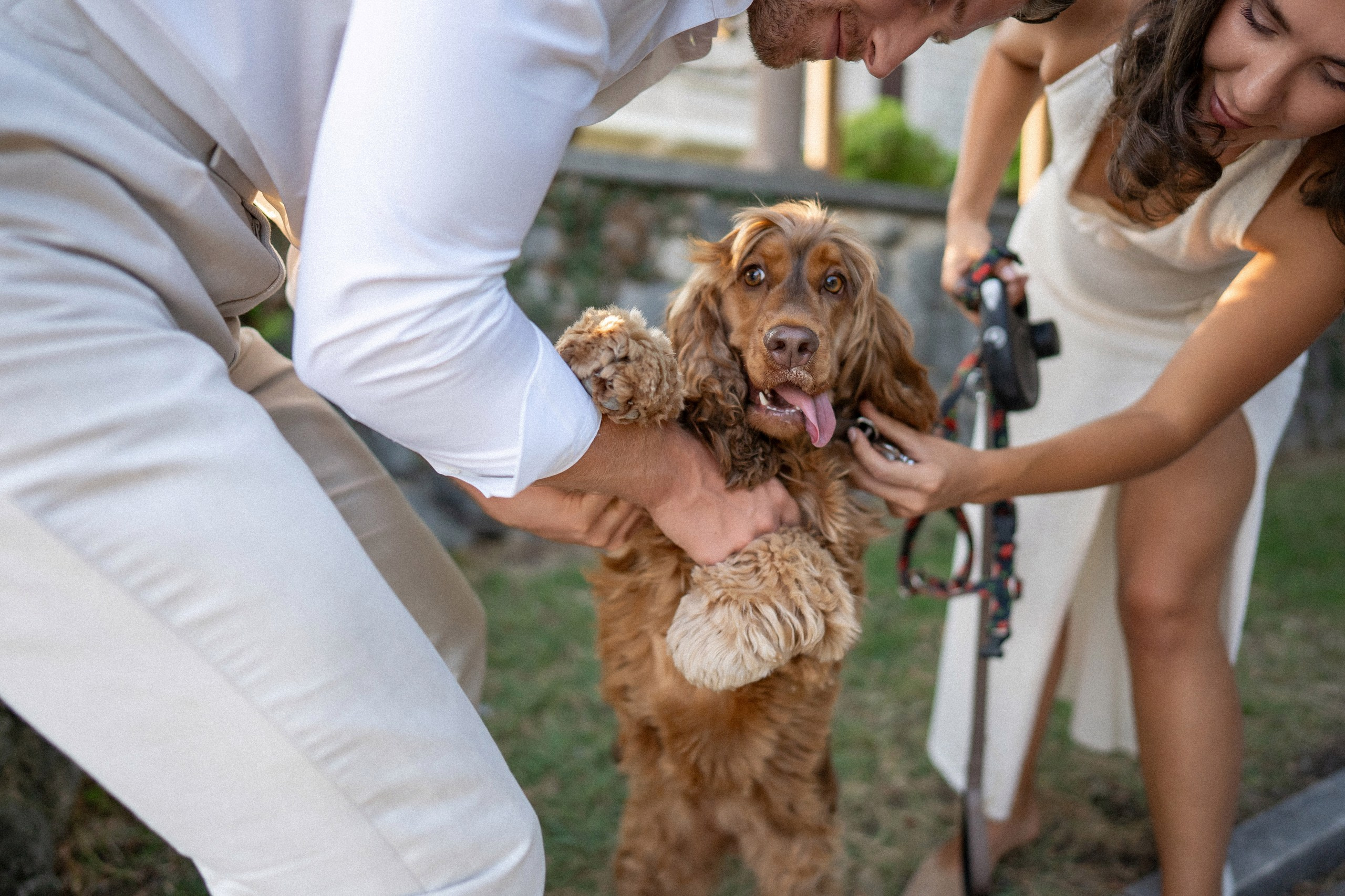 Milocer & Sveti-Stefan