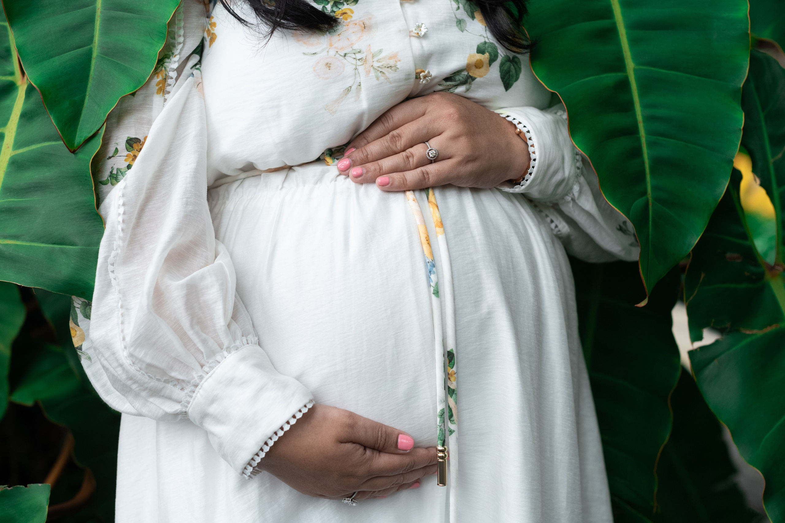 Detail of expectant mother’s hands with engagement ring resting on white floral maternity dress, cradling a round baby bump against broad green leaves.