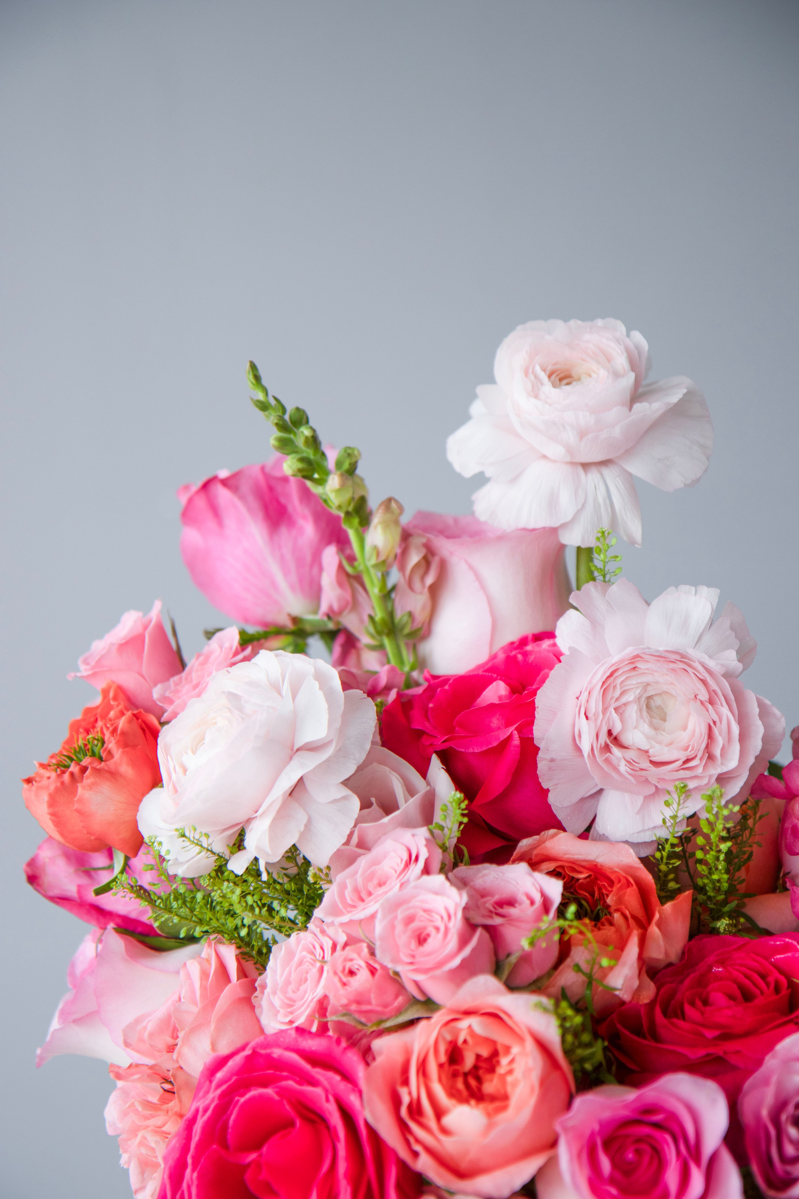 043. Palagina Ksusha, photographer in NY