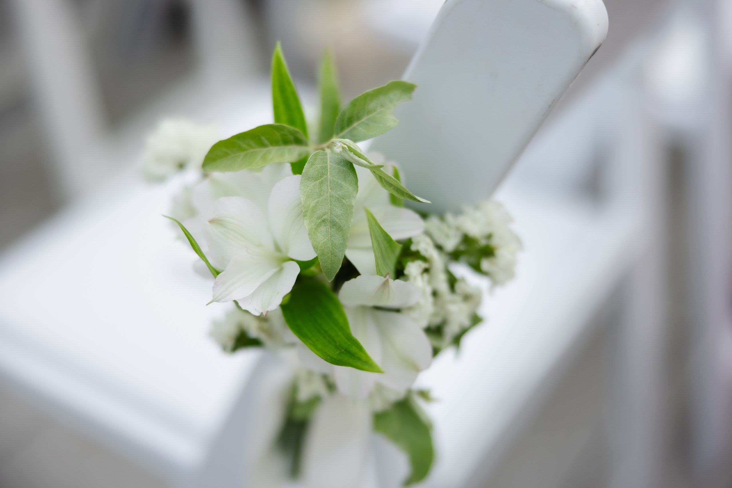 Ally and Dylan. Luxury Wedding Photography and Cinematography