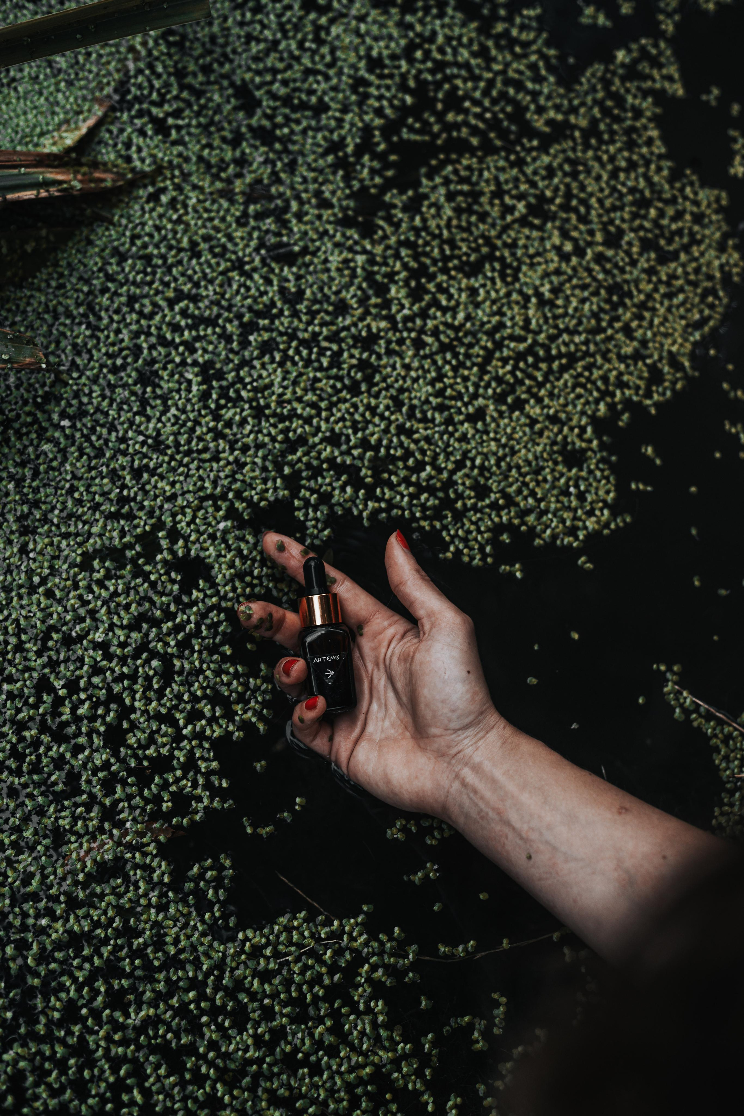 Dana Lišková - Portrait and brand photographer Prague - Business portrait Prague - Brand photo Prague - Business and corporate portrait Prague - Corporate photography Prague