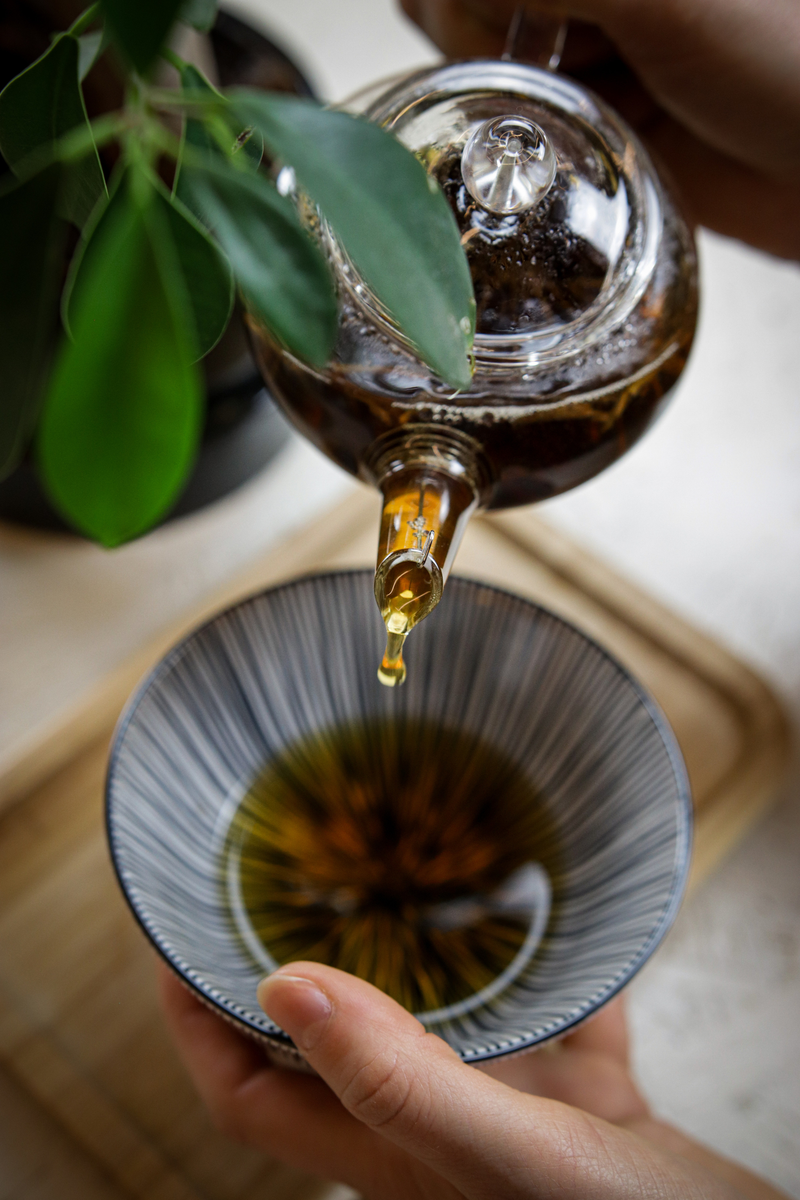 Dana Lišková - Portrait and brand photographer Prague - Business portrait Prague - Brand photo Prague - Business and corporate portrait Prague - Corporate photography Prague