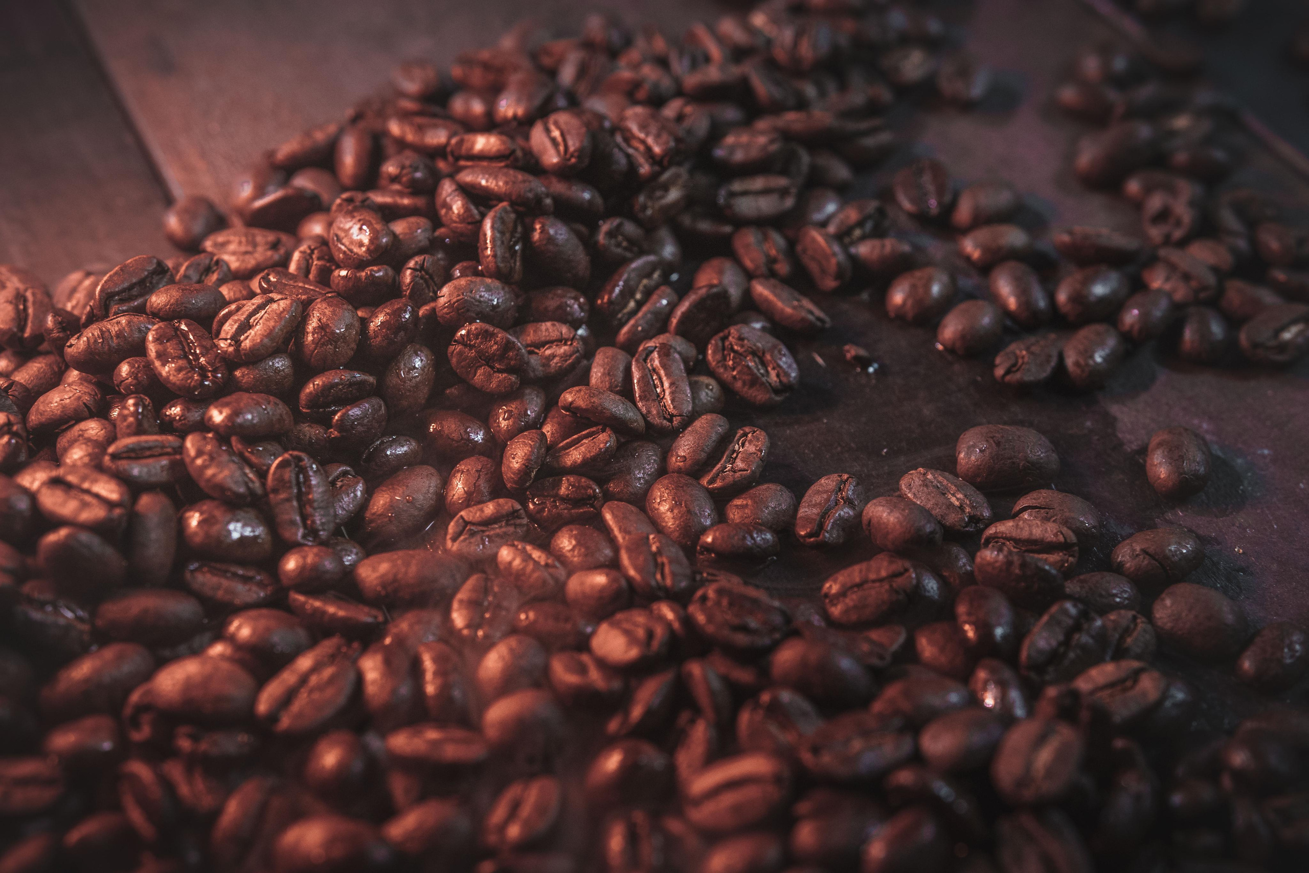 produktová fotografie Dana Lišková - Portrait and brand photographer Prague - Business portrait Prague - Brand photo Prague - Business and corporate portrait Prague - Corporate photography Prague