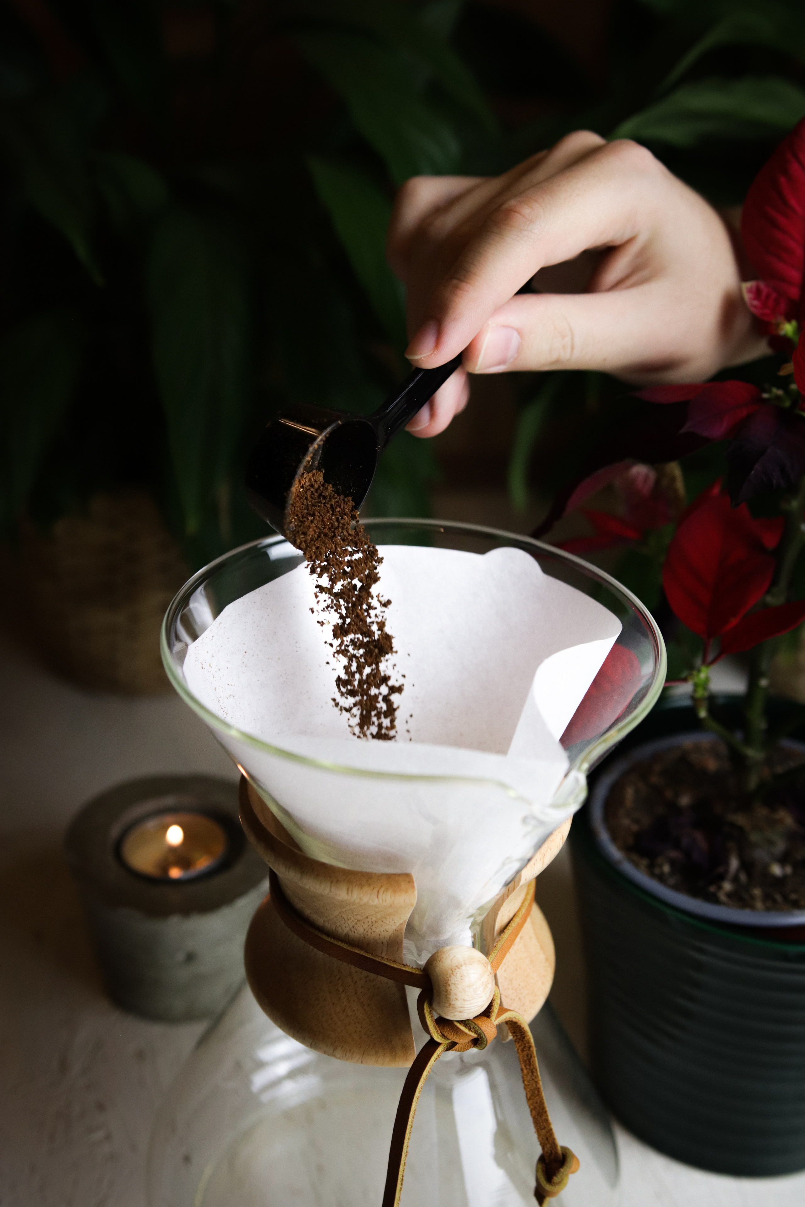 Dana Lišková - Portrait and brand photographer Prague - Business portrait Prague - Brand photo Prague - Business and corporate portrait Prague - Corporate photography Prague