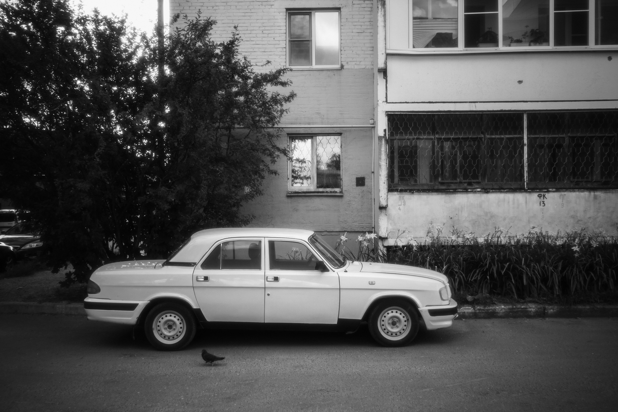 Череповец.2024. «Фотохроники»