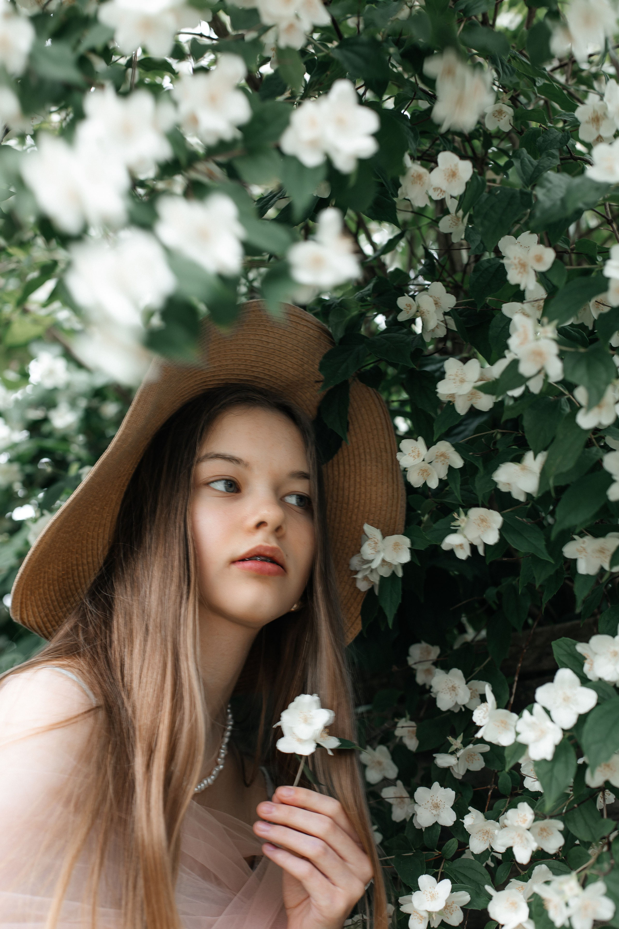 Foto in Jasmin. PHOTOgrapher Germany MARBURG