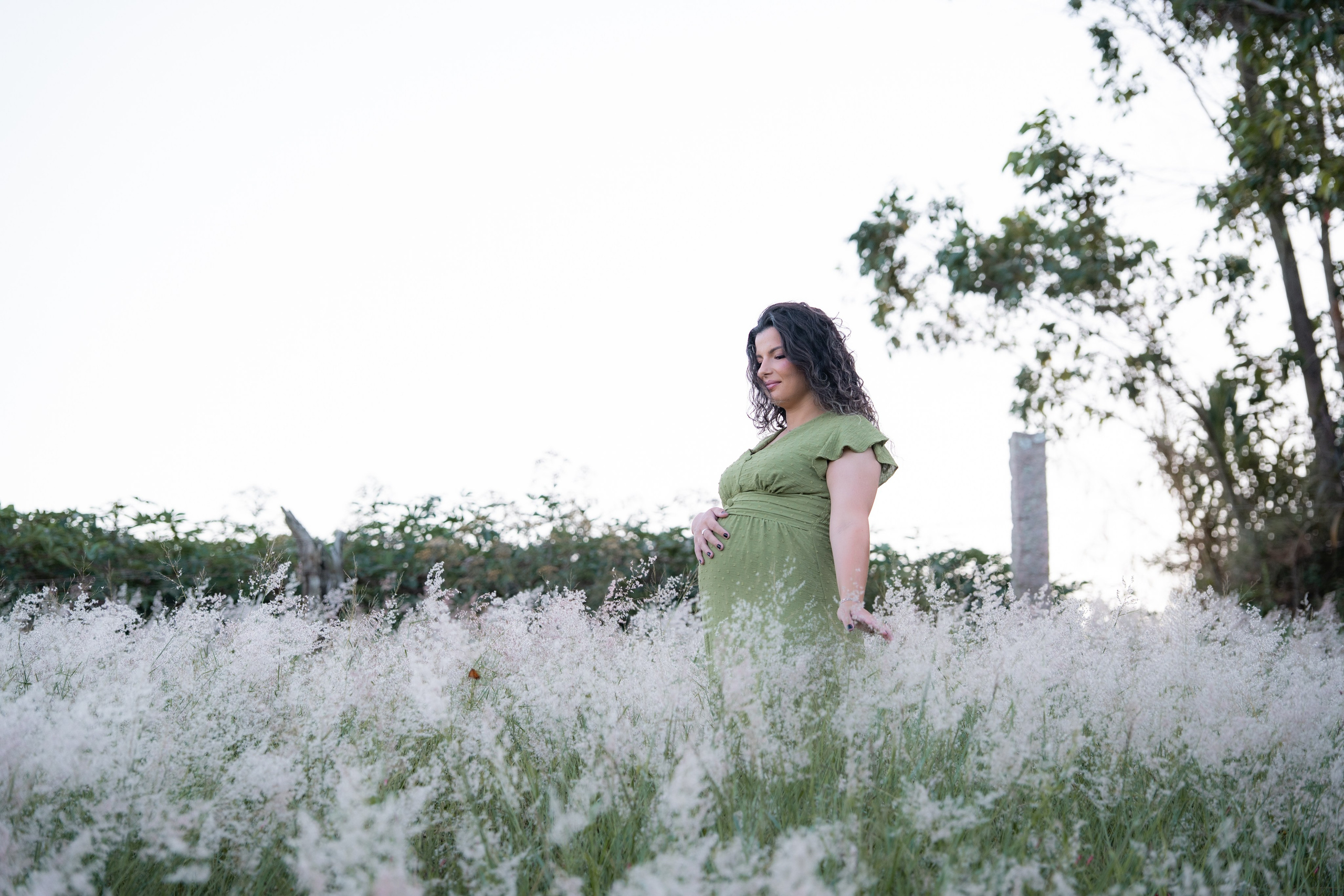 Descobrindo
