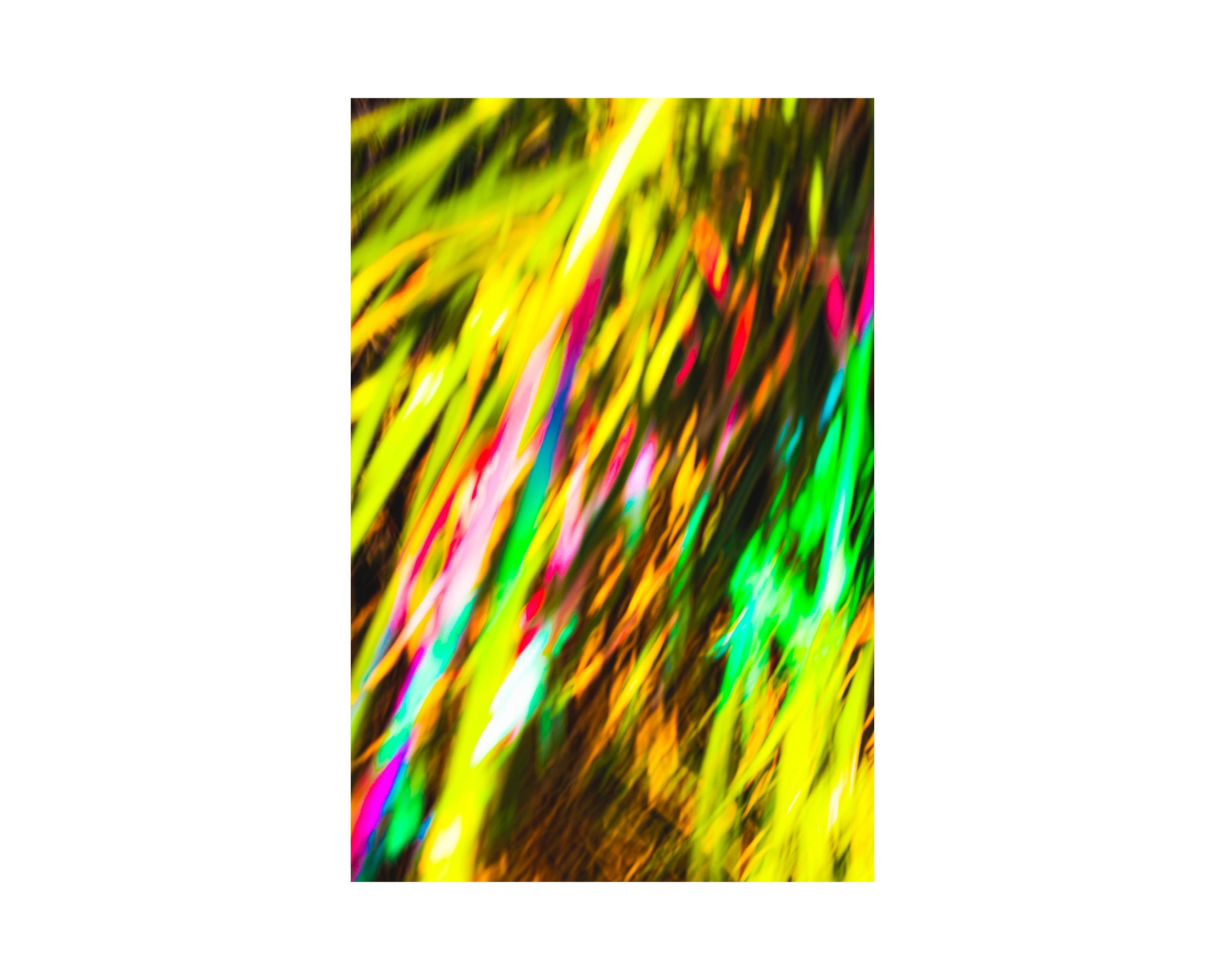 Nature from Exaggerated Worlds. Ekaterina Tsurkina-Appina Photography Canada