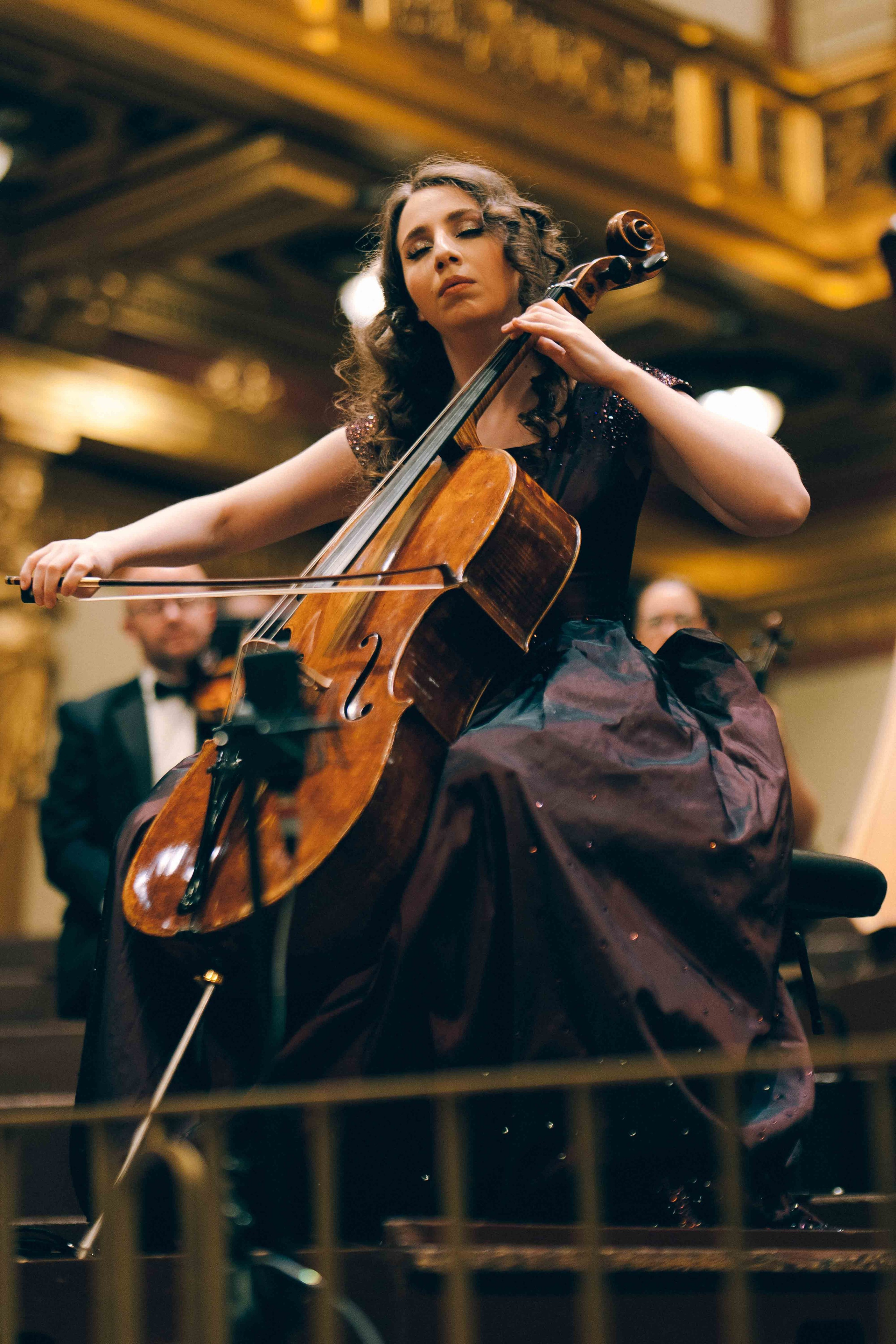 MUSIKVEREIN (VIENNA). Wedding&Event photographer Ismail Rzayev in Baku