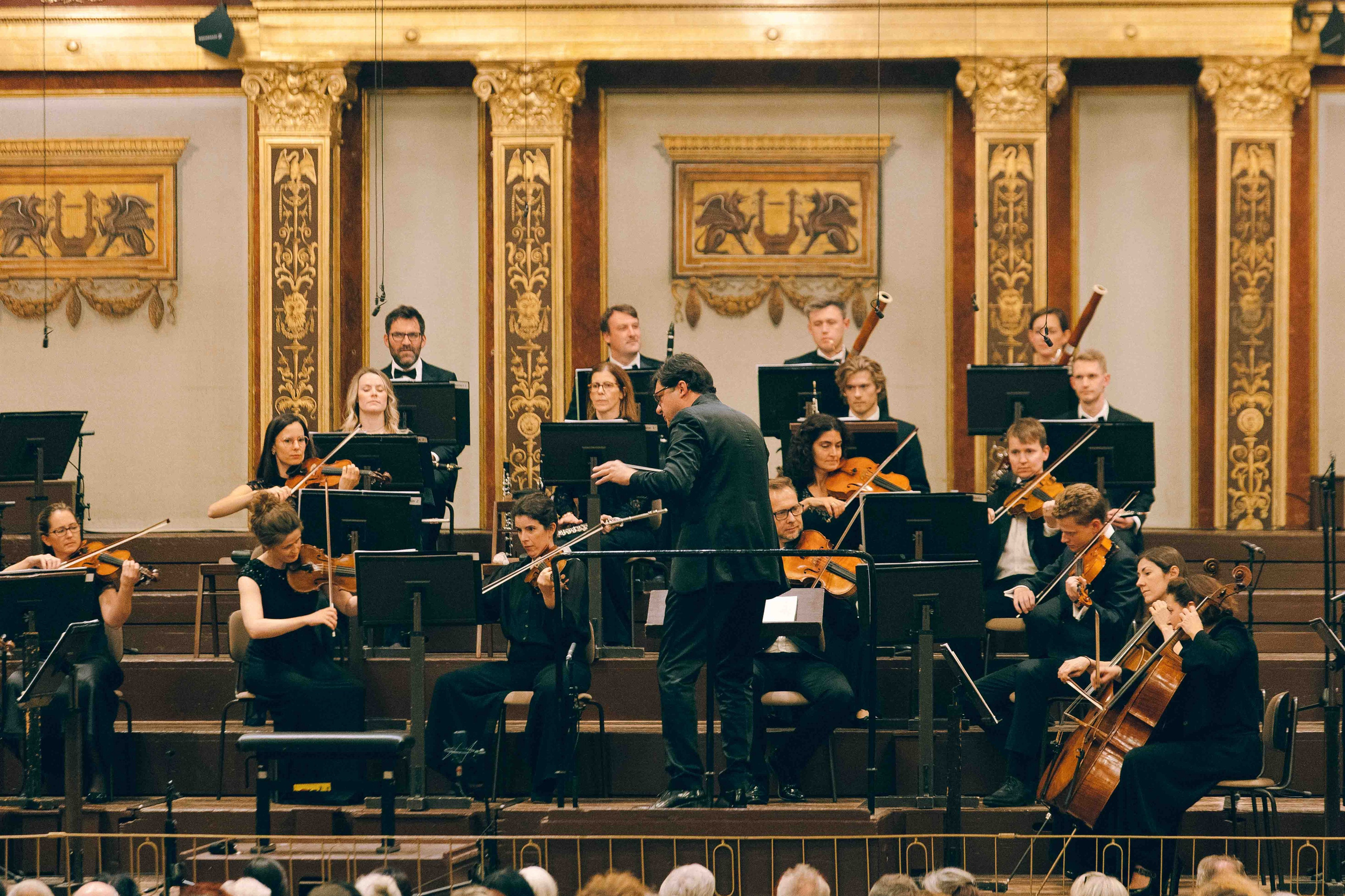 MUSIKVEREIN (VIENNA). Wedding&Event photographer Ismail Rzayev in Baku