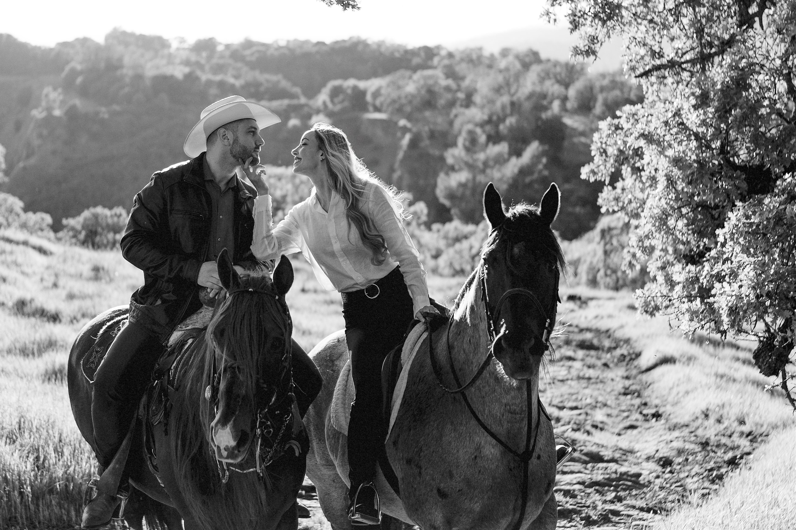 Engagement with Horses, Napa, Northern California. Wedding Photography & Videography Team in California, Los Angeles, San Francisco, San Diego and Travel