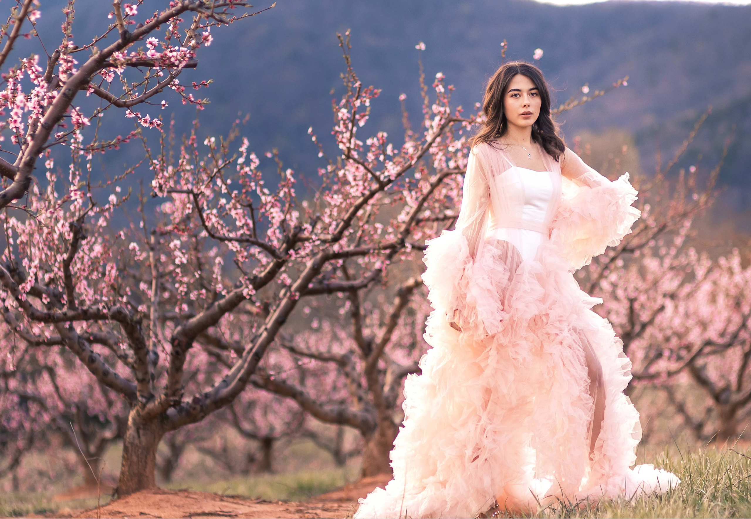 Most anticipated peach blossom in South Carolina. Wedding and portrait photography in Greenville SC