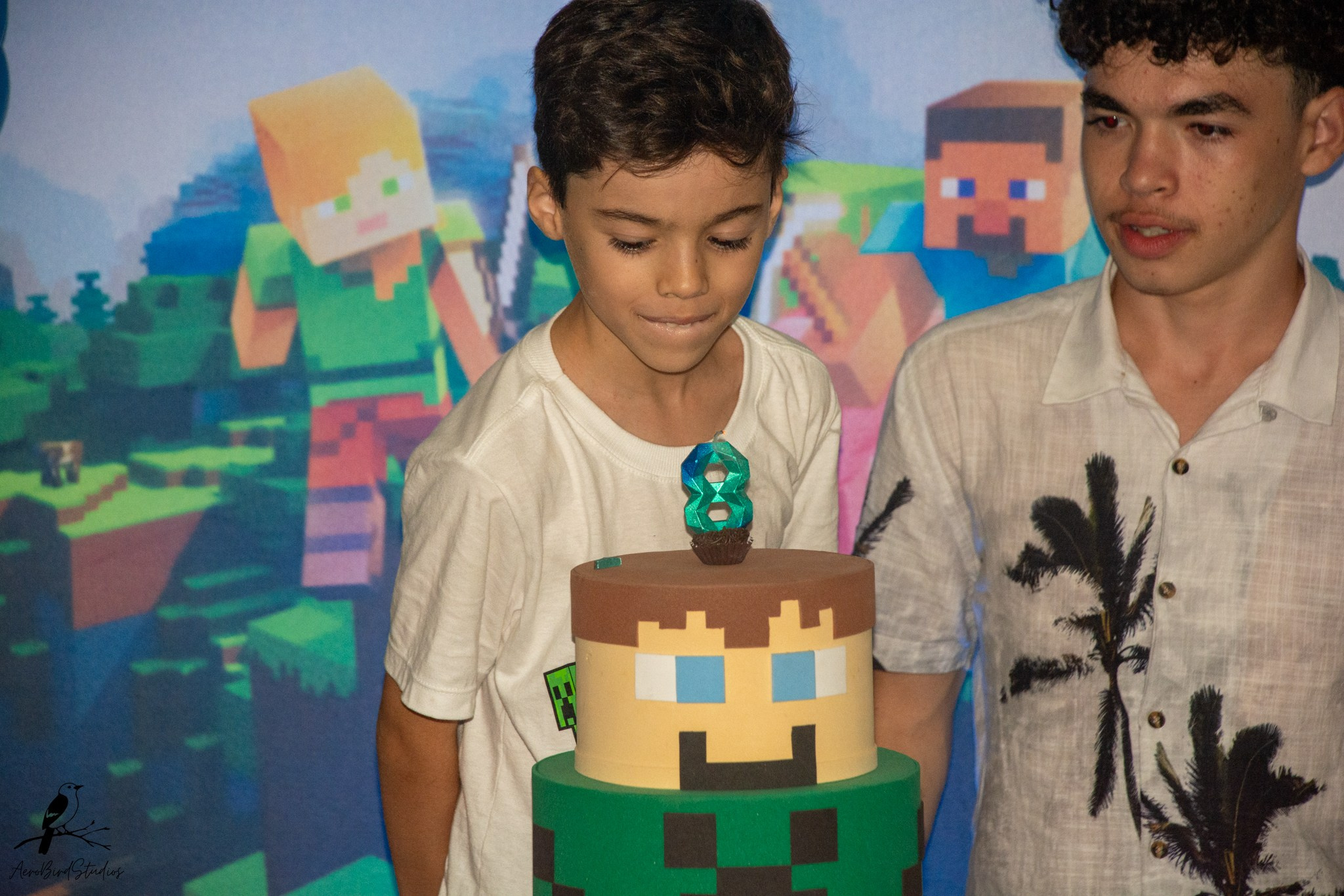 Leonardo 8 ano. AerobirdStudios