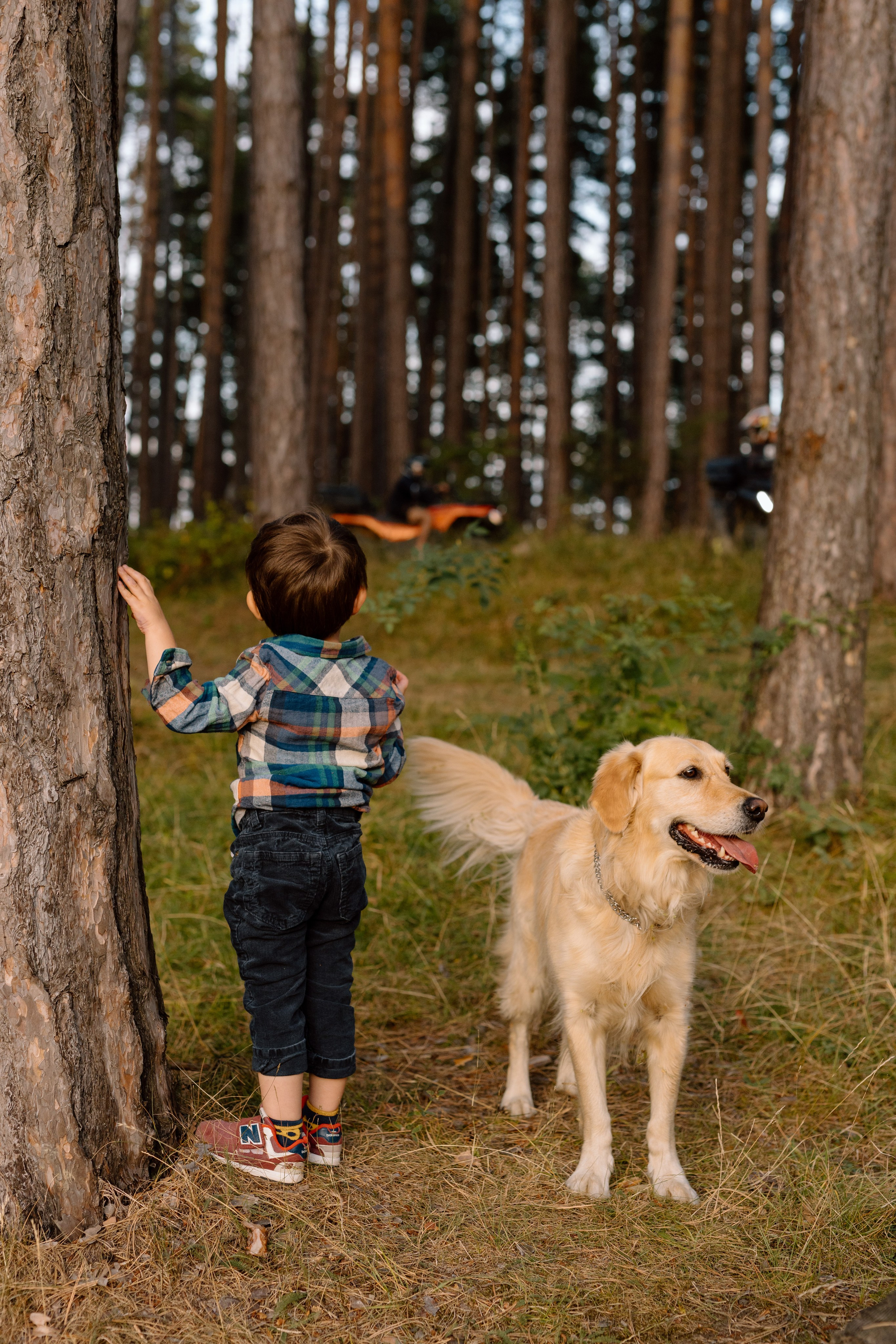 Sanziana, Daniel & Alexandru — Family. Main