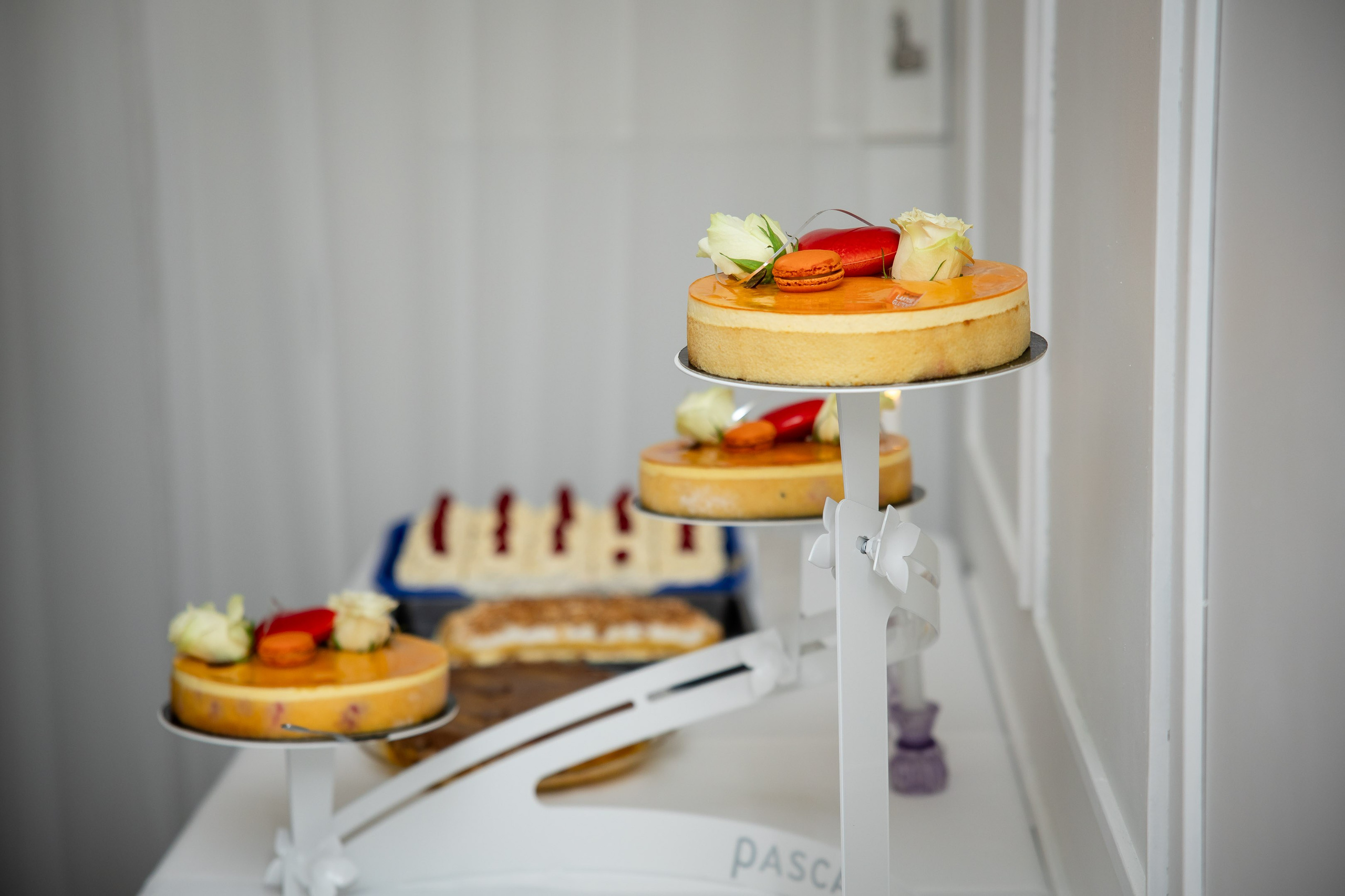 2025 - Bryllup - Stine & Jørgen. Bryllupsfotograf i Oslo og Rogaland — Meisal Media